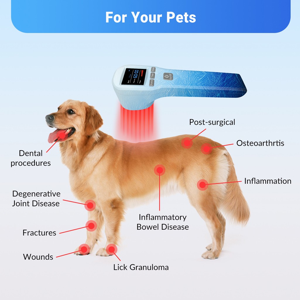 Handheld 650nm 808nm Cold Laser Light Therapy Device for Joints & Muscles Pain
