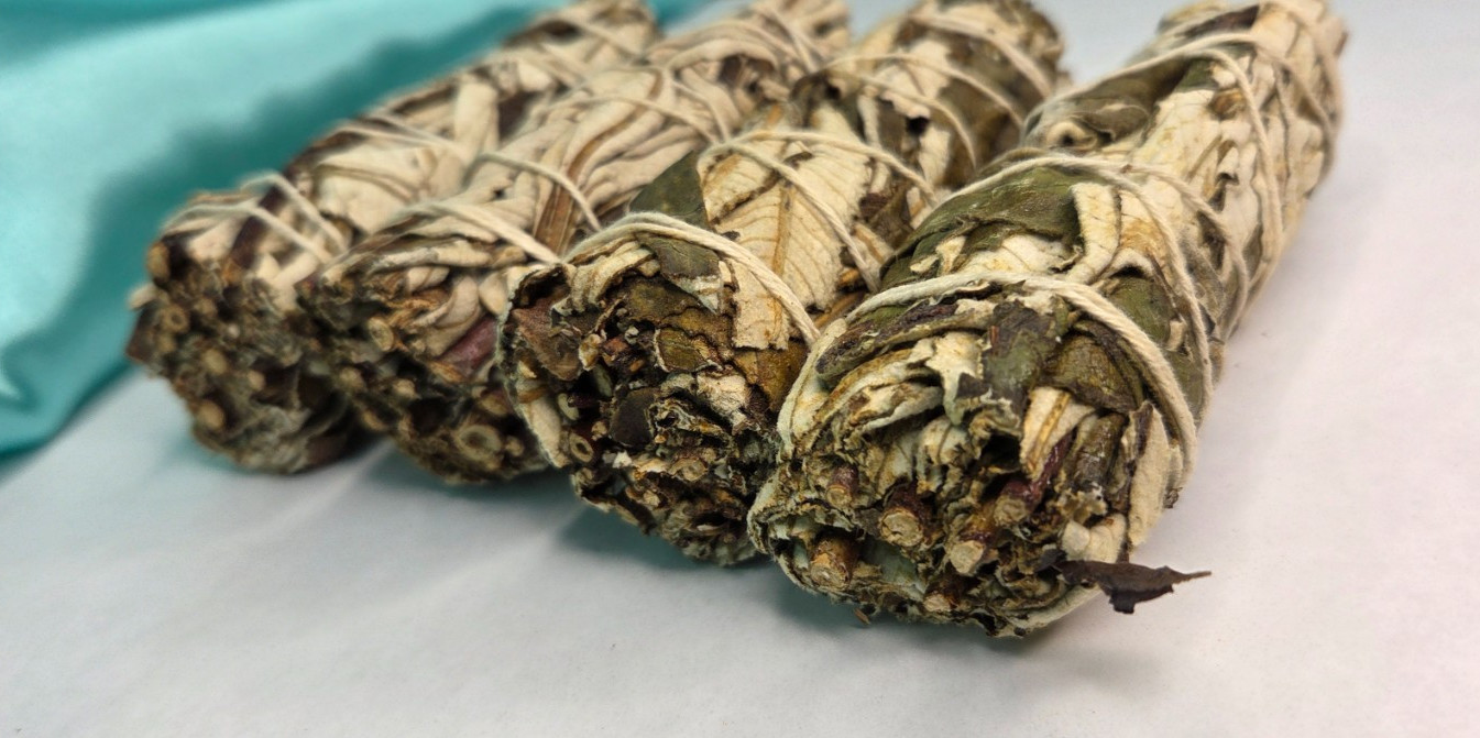 Yerba Santa Smudge Sticks (4 inches) ~ Eriodictyon Californicum ~ United States
