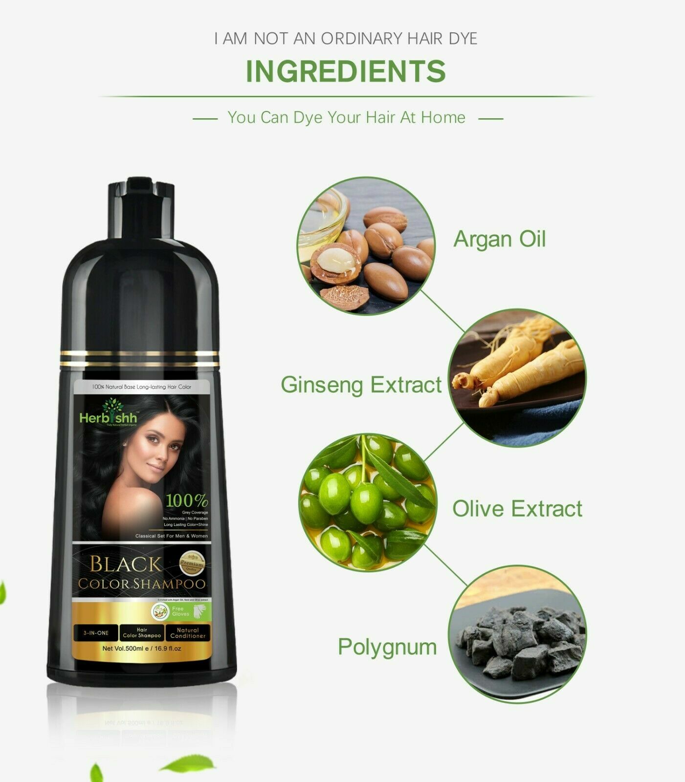 2PCS AMMONIA FREE HERBISHH HAIR COLOR SHAMPOO HAIR DYE -BLACK