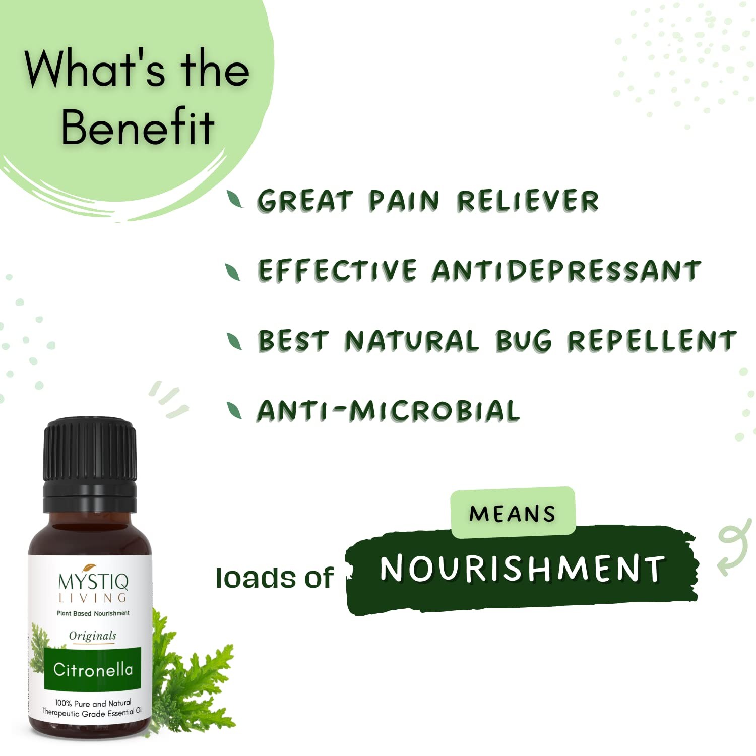 Mystiq Living Citronella Essential Oil 15ml