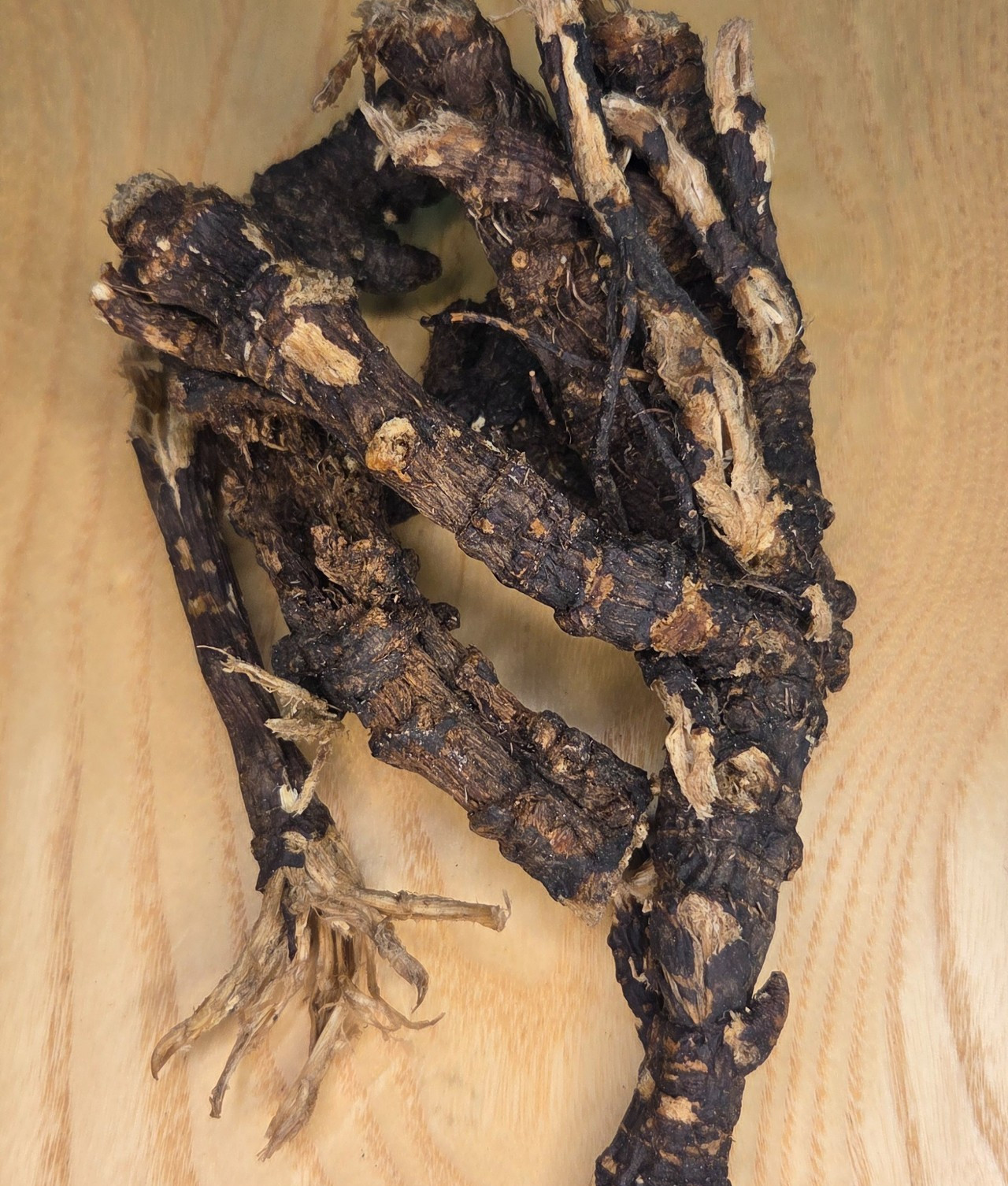 Osha Root ~ Ligusticum Porteri ~ United States