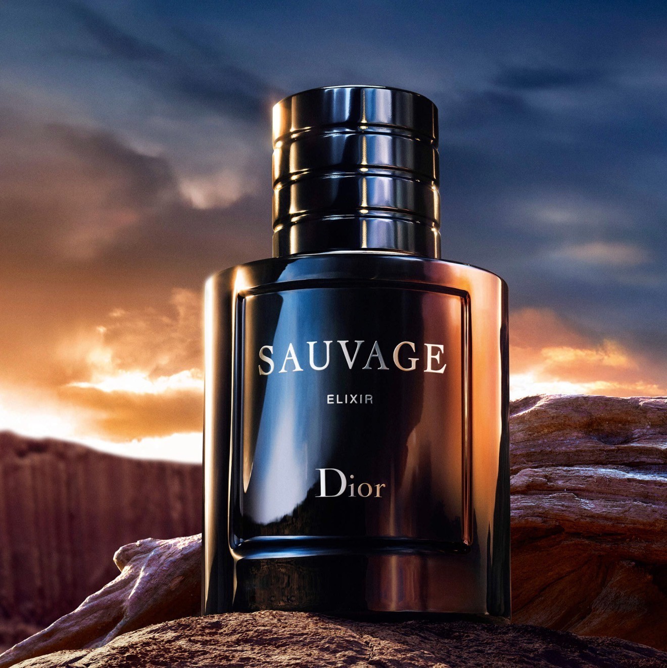 CD Sauvage Elixir by Christian Dior, 3.4 oz/100 ml For Men-New