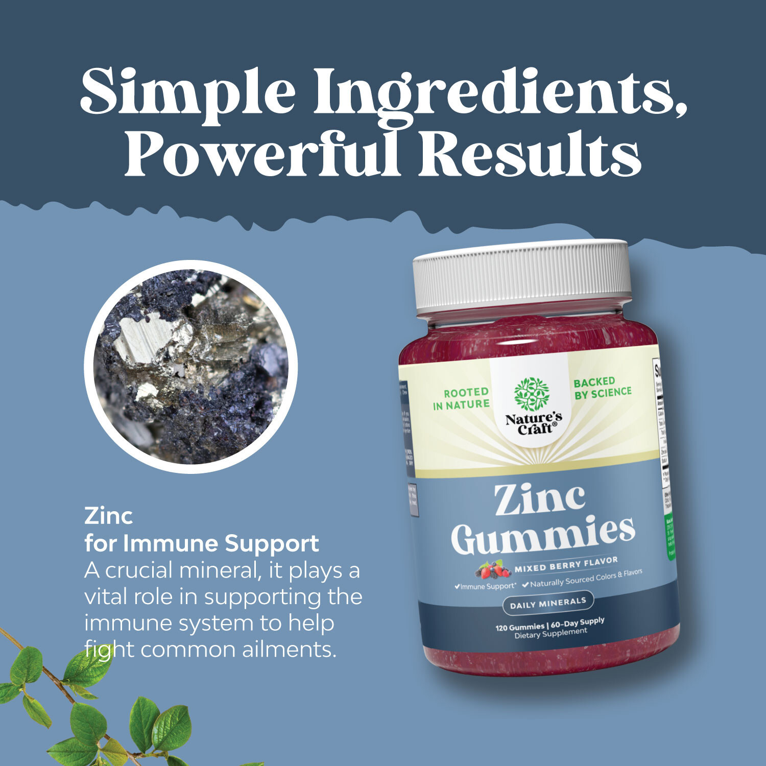 Extra Strength Zinc Gummies for Adults – Chewable Zinc Citrate Immunity 120ct