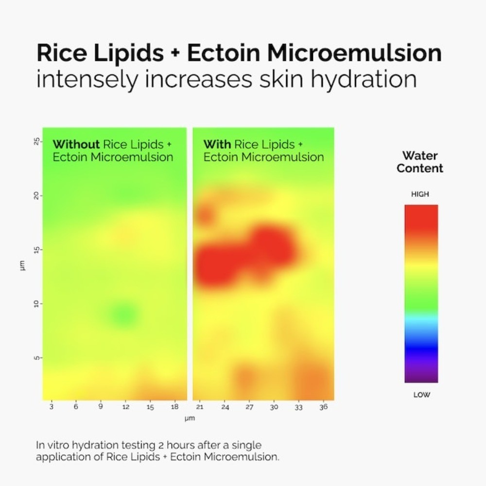 Authentic The Ordinary Rice Lipids + Ectoin Microemulsion Moisturizer 2oz/60ml