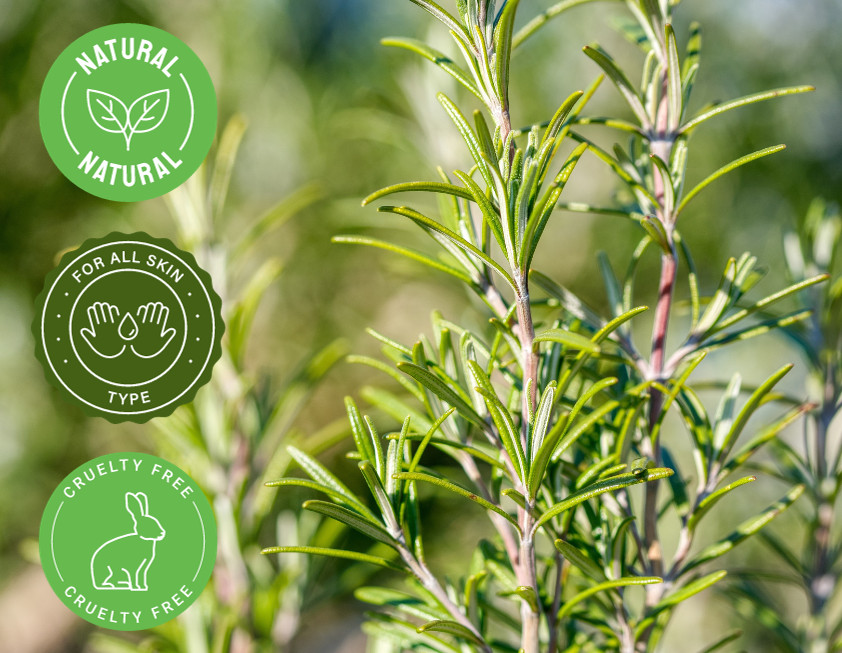 4 fl oz Rosemary Essential Oil (100% Pure & Natural) with 3 Free Droppers