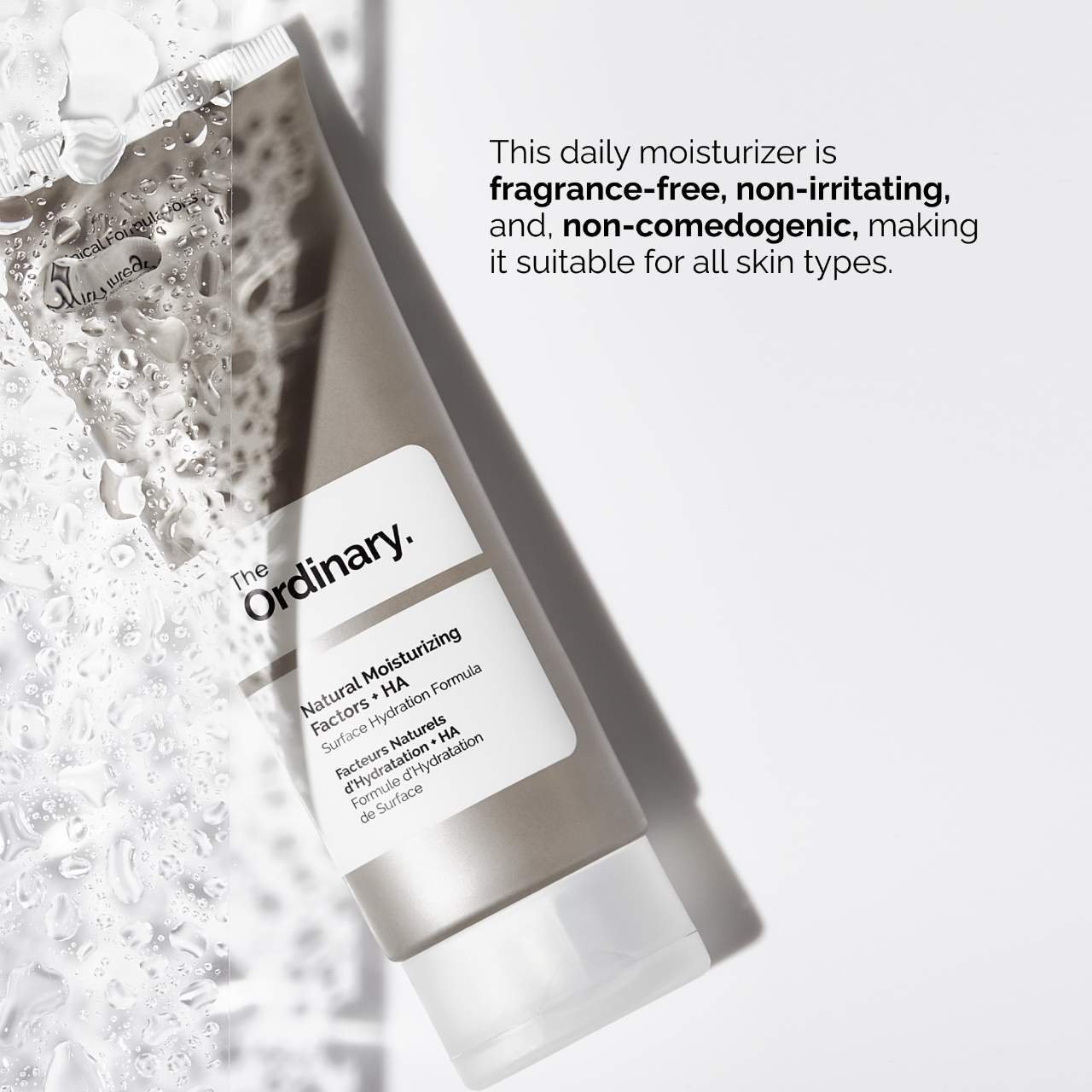 The Ordinary Authentic Hyaluronic Acid Daily Moisturizer Standard Or Mini