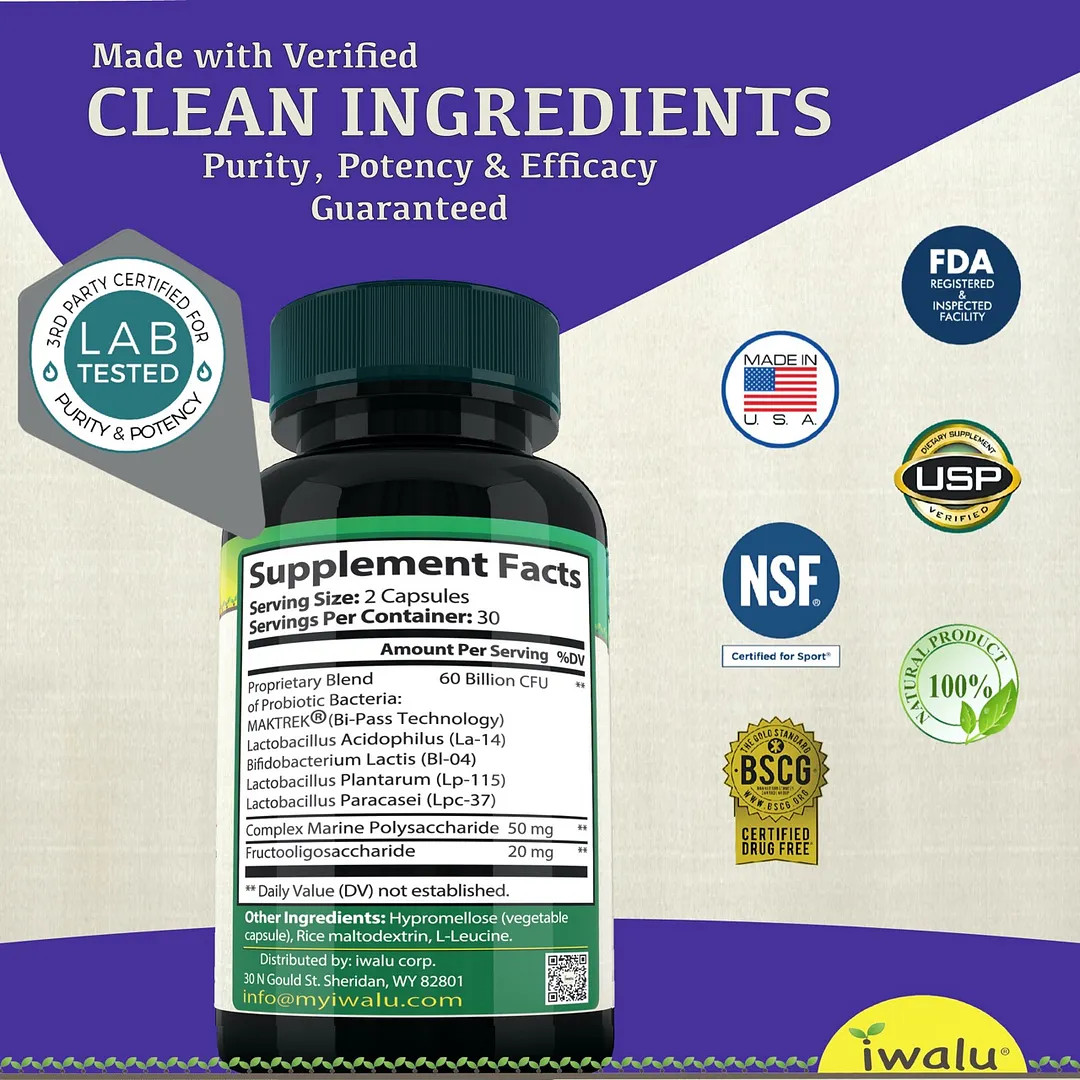 High Amylase And Lipase | Best Supplement Capsule Pill Men Women FREE SHIP