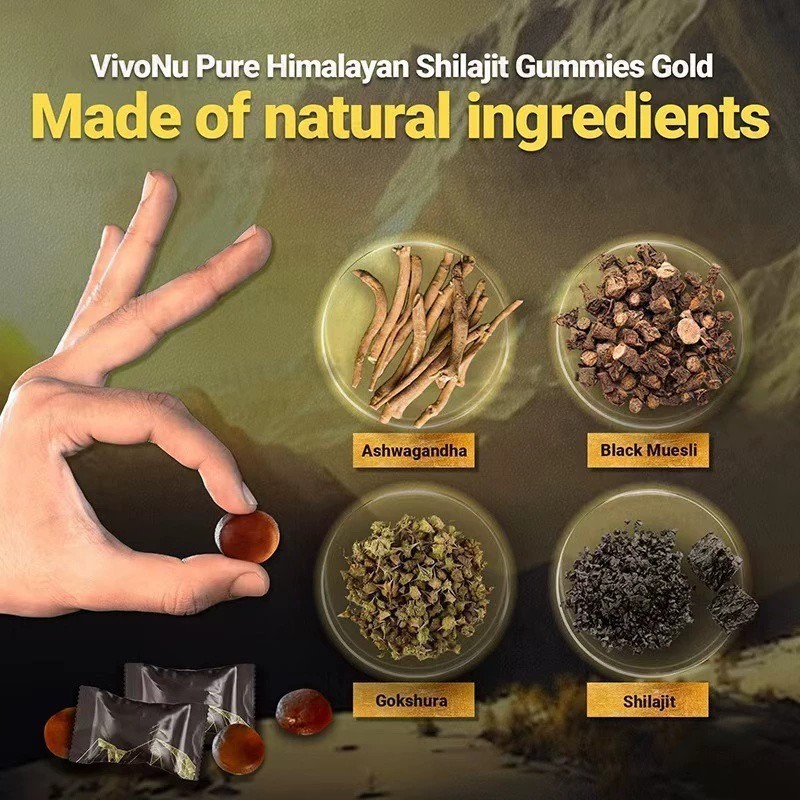 Shilajit 60 Gummies, Shilajit Micronutrient Supplement, Himalayan Premium – 2025