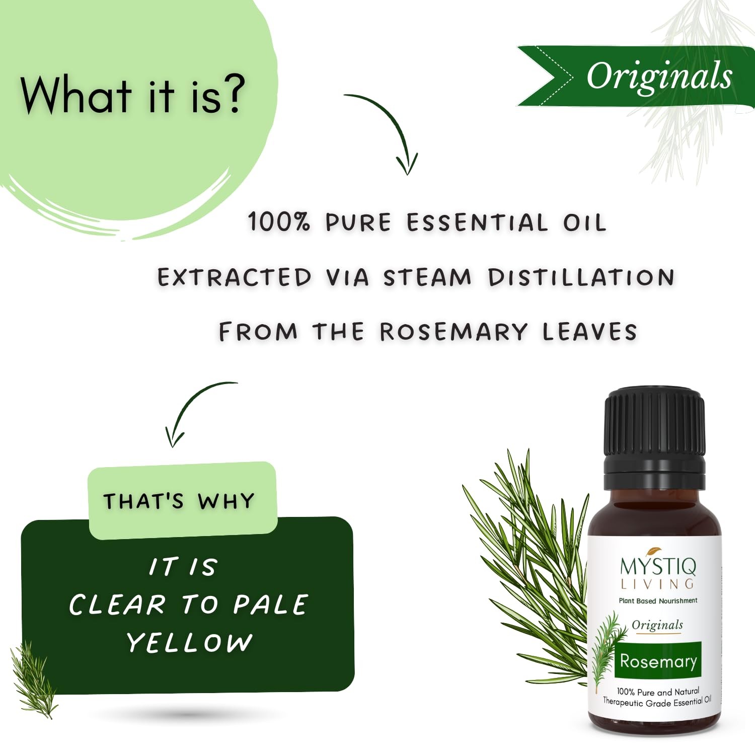 Mystiq Living Rosemary Essential Oil 15ml