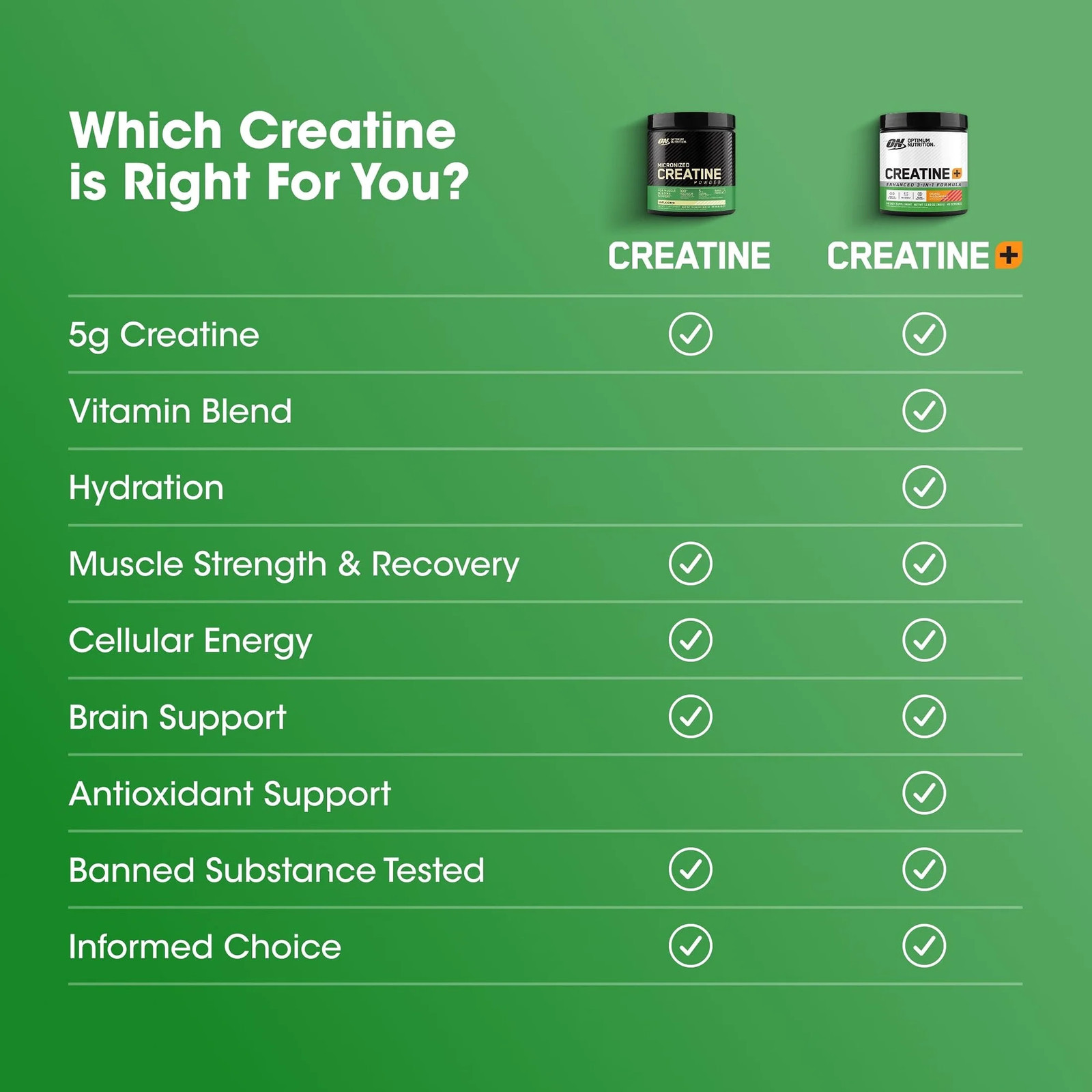 Optimum Nutrition Micronized Creatine Powder Unflavored 60 Servings