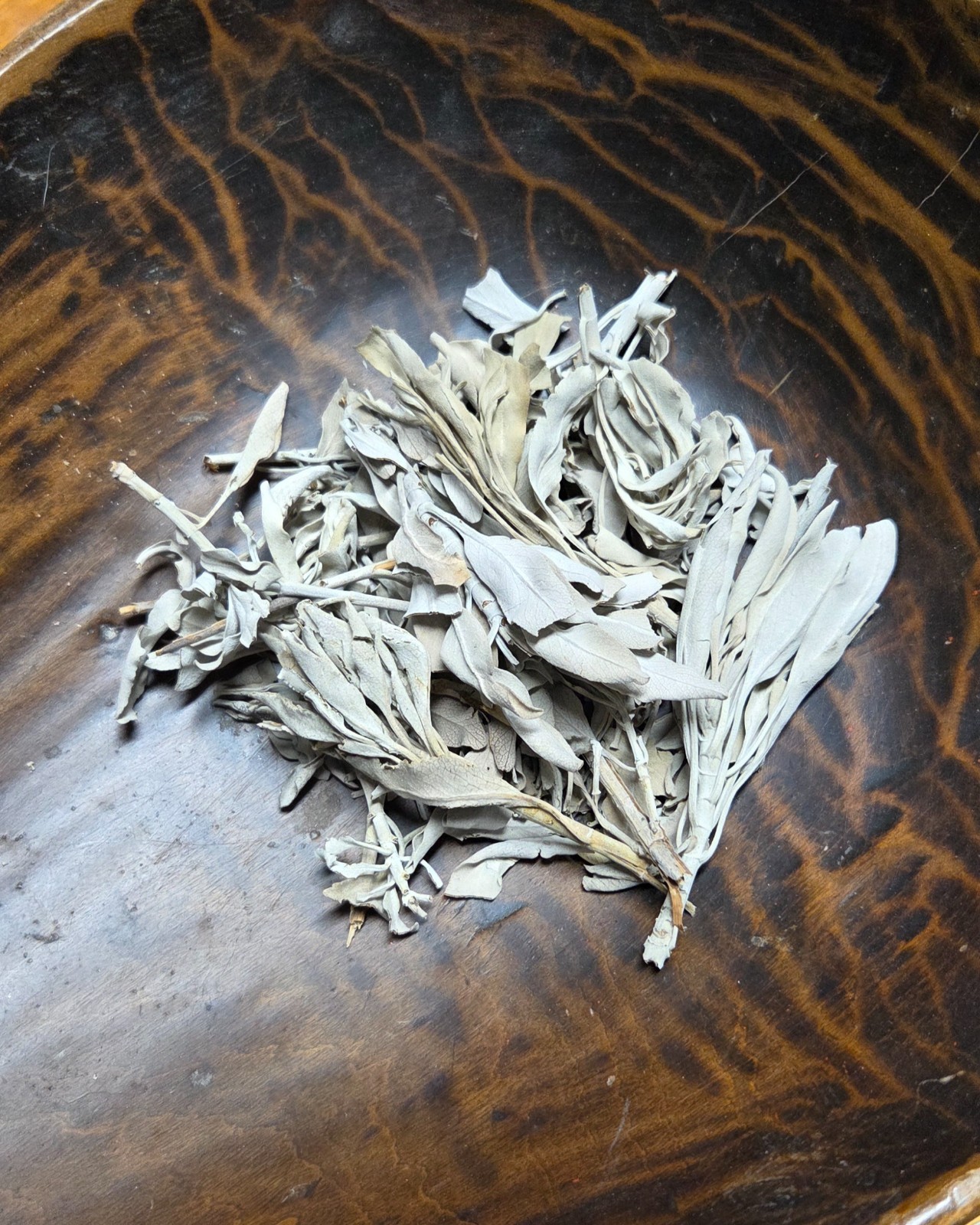 Dried White Sage Leaves ~ Salvia Apiana ~ United States