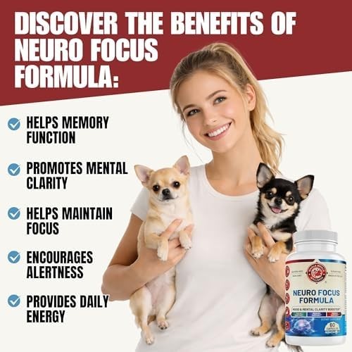 Neuro Focus Formula | Supports Mental Clarity & Focus | Vitamin A,C,D,E,B6 | Glu