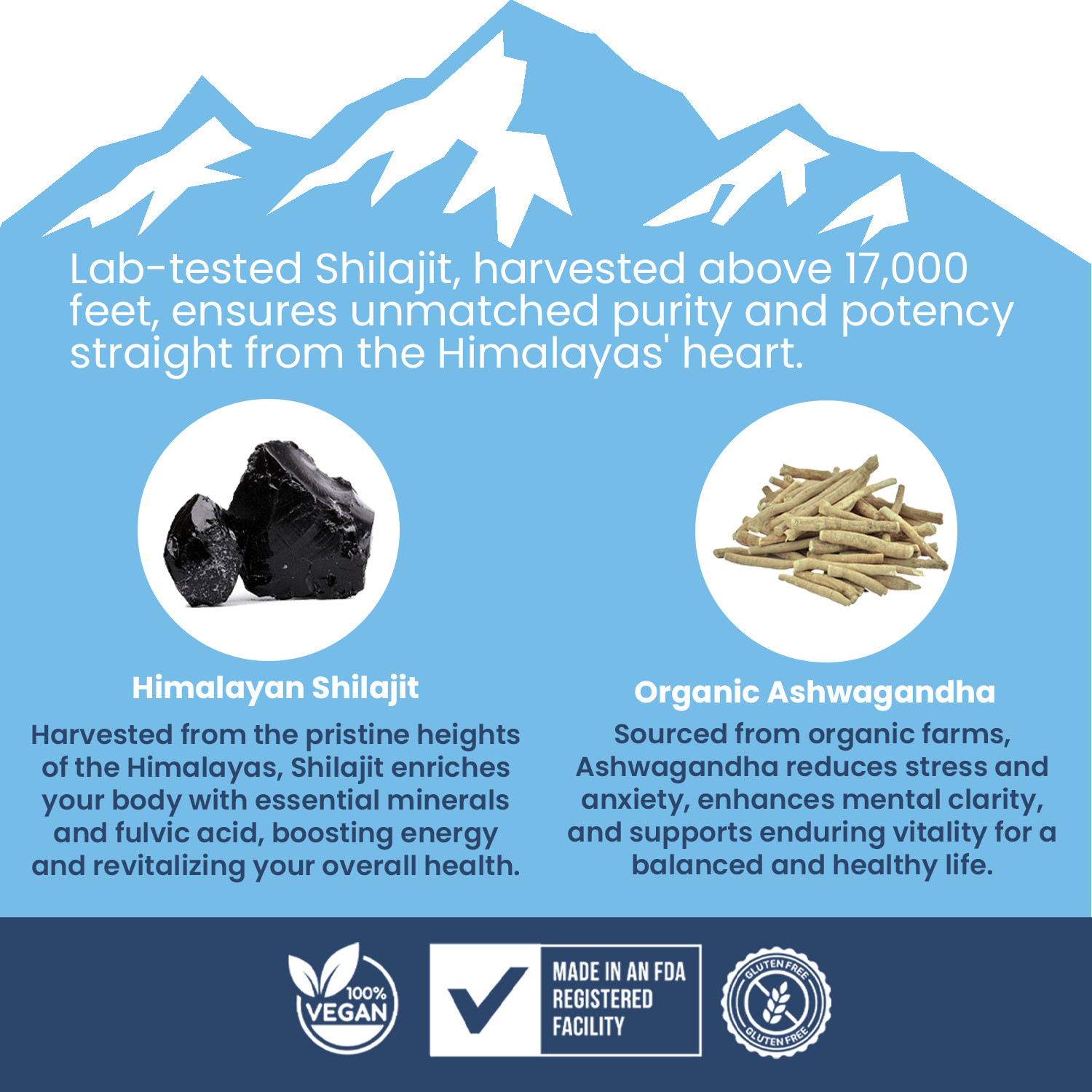 Shilajit Gummies Pure 100% Himalayan Shilajit Resin Natural Supplement – 2 PACK