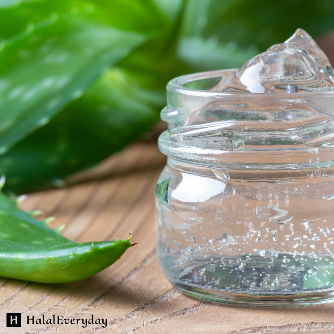 Aloe Vera Gel – 100% Pure Organic Soothing Moisturizing Skin Care Lotion BULK