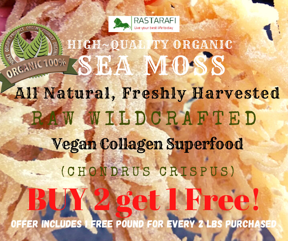 Rastarafi® Sea Moss Gel (Unflavored) Irish Moss | Raw Wildcrafted Superfood Gel