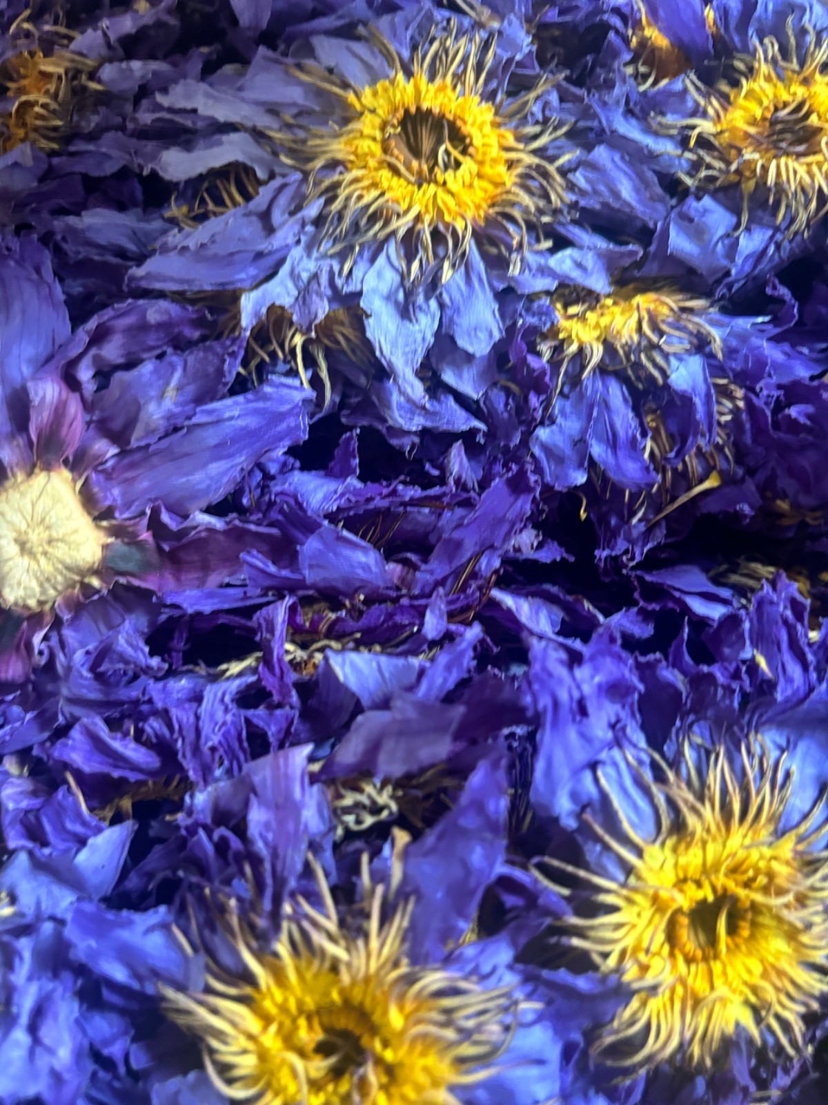 Dried Blue Lotus Herbal tea – 100g – Nymphaea Caerulea- 100% all natural.