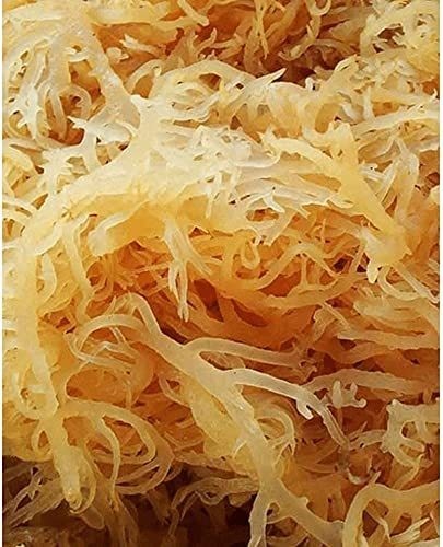 Rastarafi® Sea Moss Gel (Unflavored) Irish Moss | Raw Wildcrafted Superfood Gel