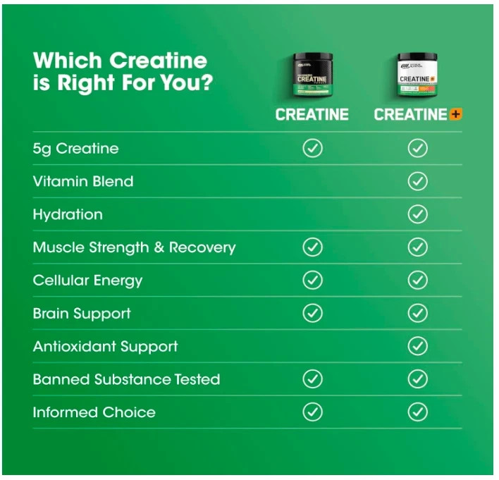 Micronized Creatine Monohydrate Powder, Unflavored, 120 Servings, 600 Grams (Pac