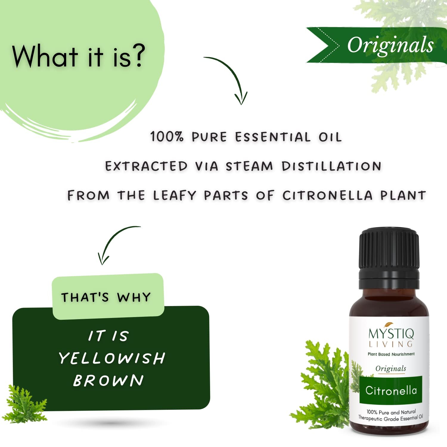 Mystiq Living Citronella Essential Oil 15ml