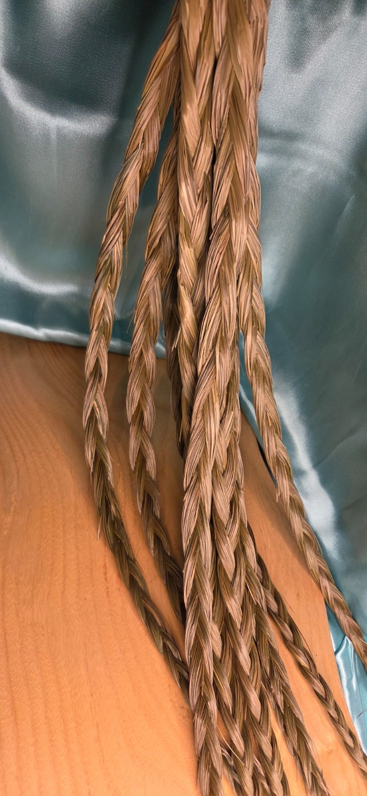 Sweetgrass Braids ~ Hierochloe Odorata ~ United States