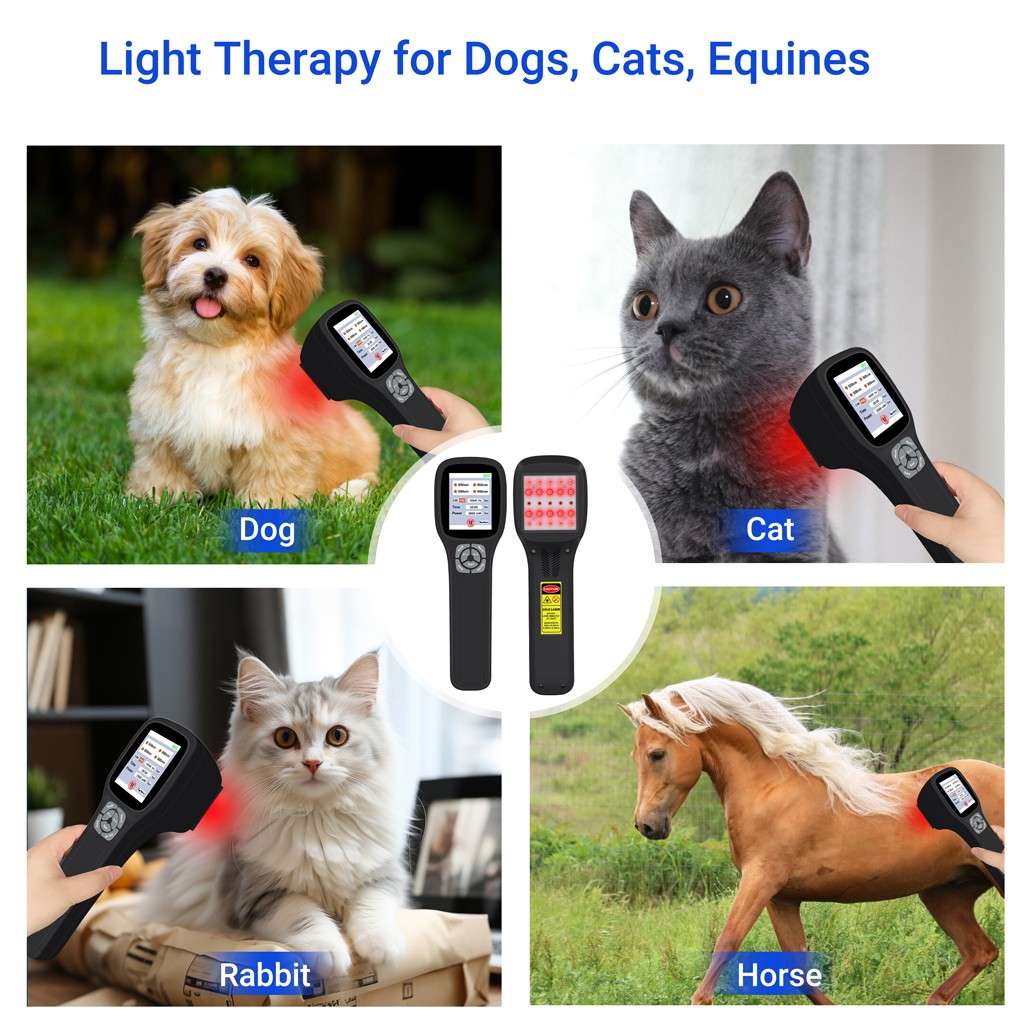 LLLT Laser Therapy for Human Pets Red Light Physiotherapy for Joints Pain 2500mW