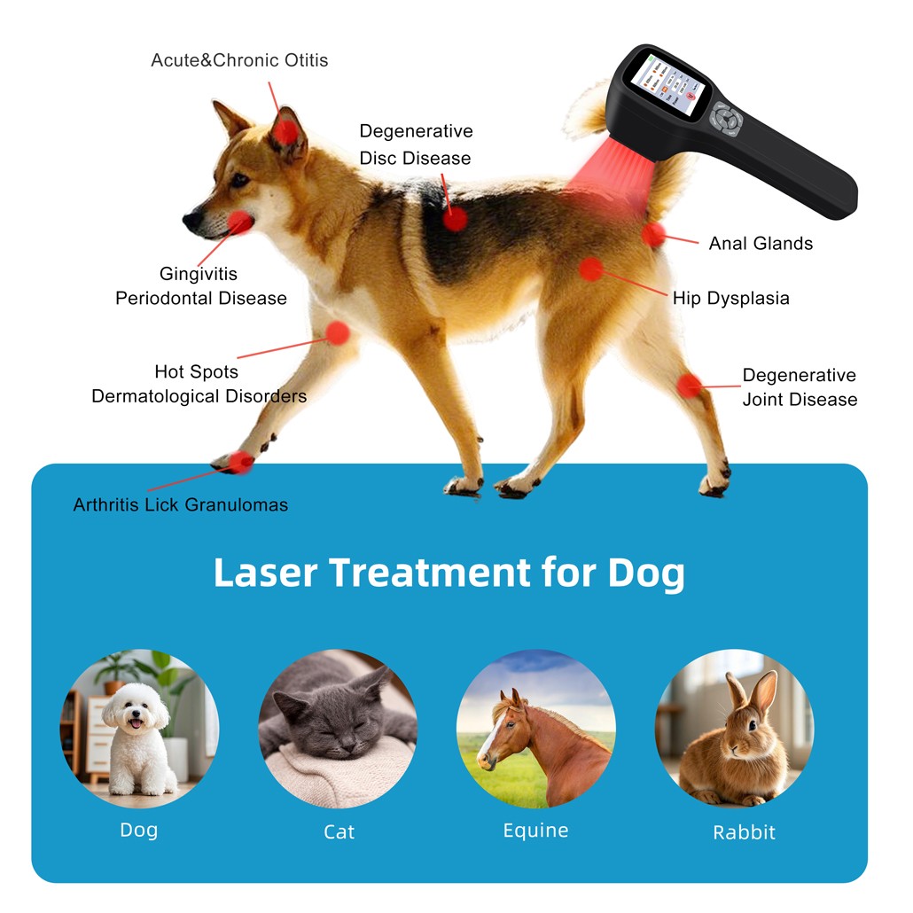 LLLT Laser Therapy for Human Pets Red Light Physiotherapy for Joints Pain 2500mW