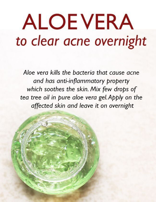 Aloe Vera Gel (THICK) 100% Pure Organic Soothing Moisturizing Skin Lotion BULK