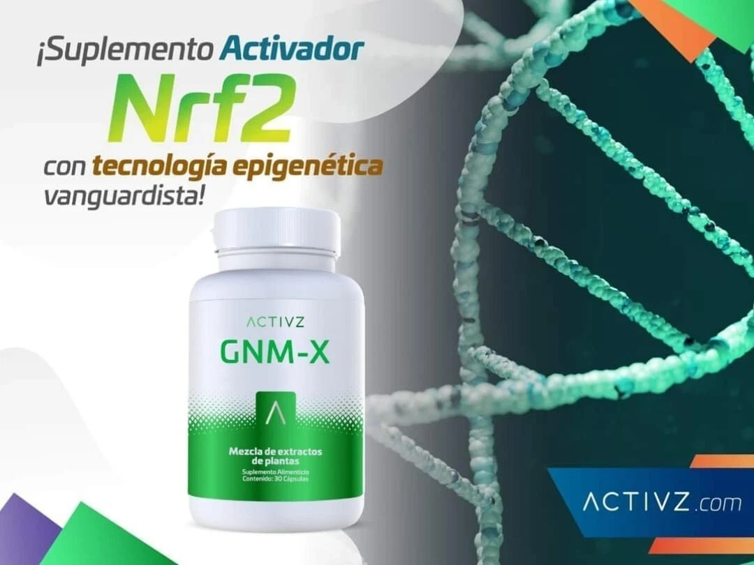 ACTIVZ LINQ 60 Capsules Strengthens The Gut/brain Connection Free Shipping