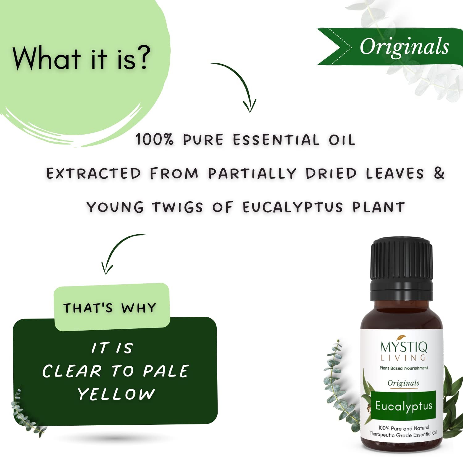 Mystiq Living Eucalyptus Essential Oil, 15ml