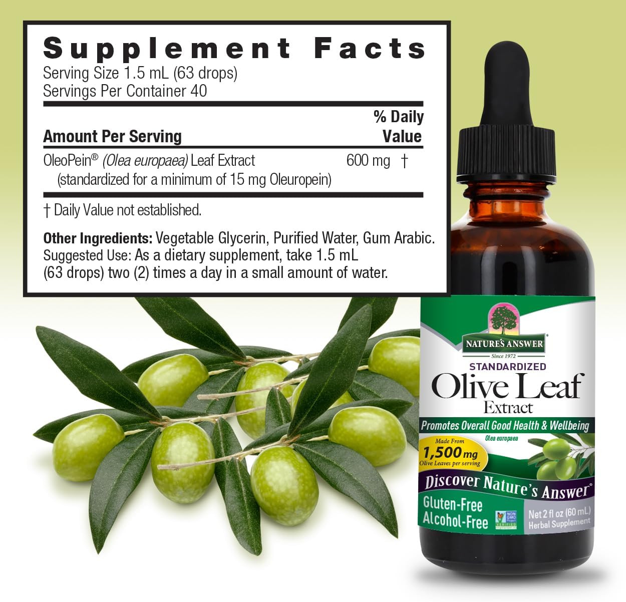 Olive Leaf Extract Liquid 2 fl oz Alcohol-Free Non-GMO Vegan Wellness Supplement