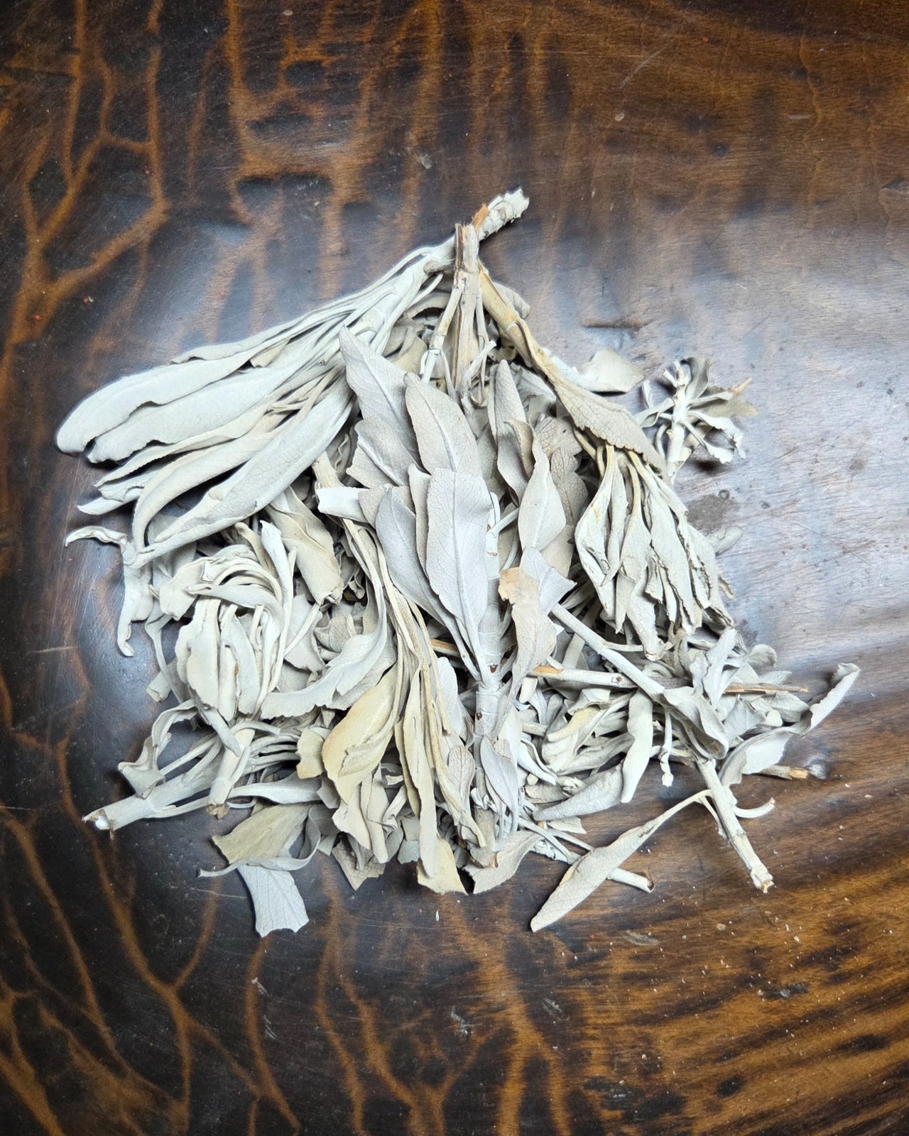 Dried White Sage Leaves ~ Salvia Apiana ~ United States