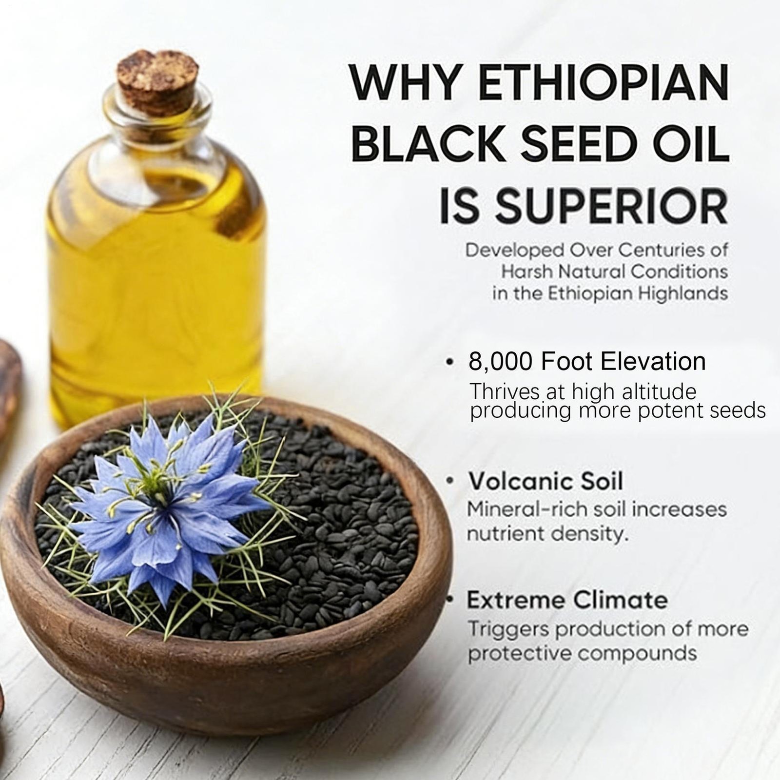3 PACK Ethiopian Black Seed Oil Softgels |4.64% Thymoquinone |Gluten-Free