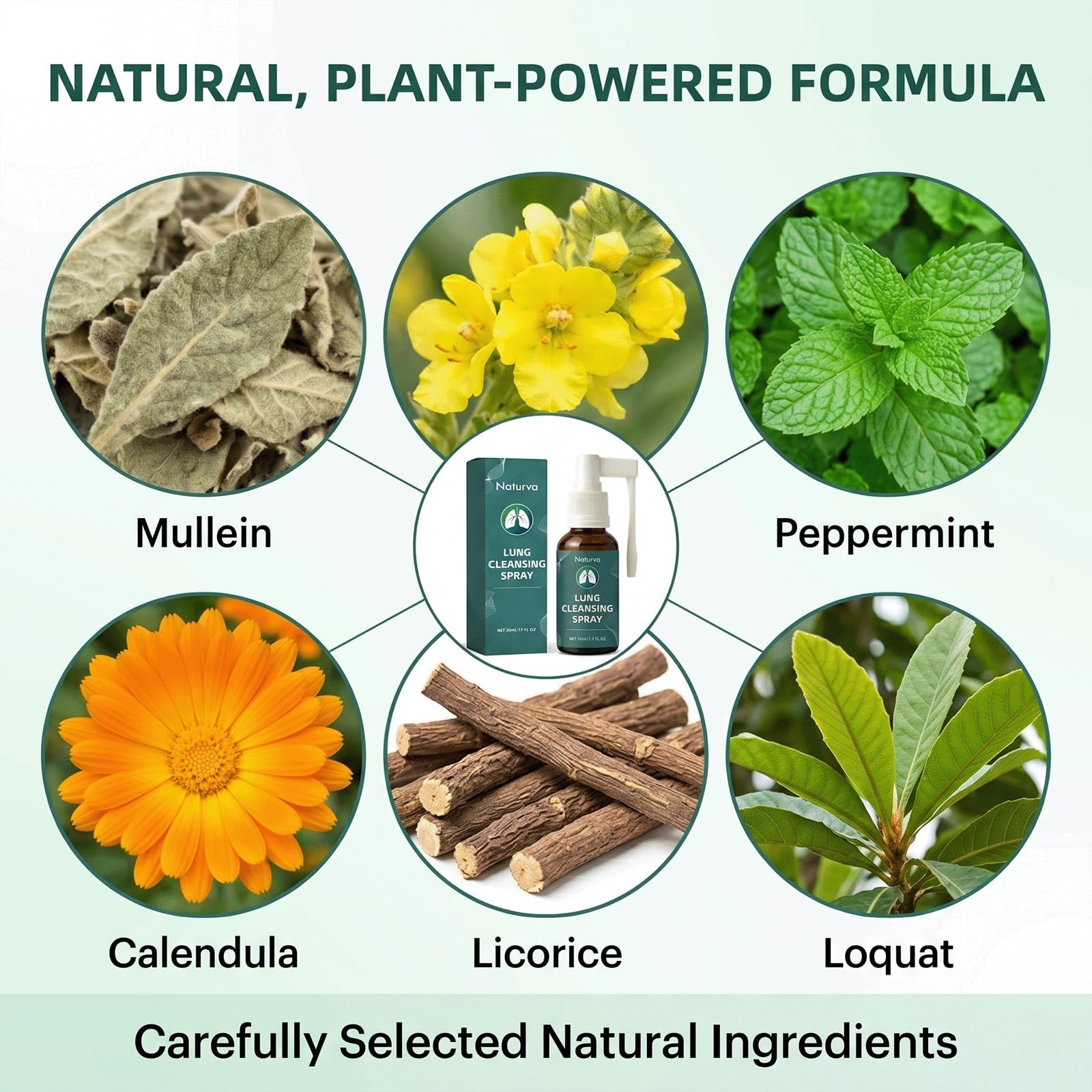 Naturva Lung Cleansing Spray,Calendula Leaf Extract 1 Fl Oz (Pack of 1), 1pcs