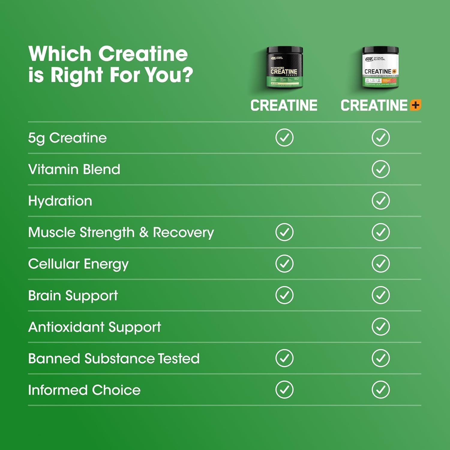 Micronized Creatine Powder, Unflavored, 1.32 lb (600 g)
