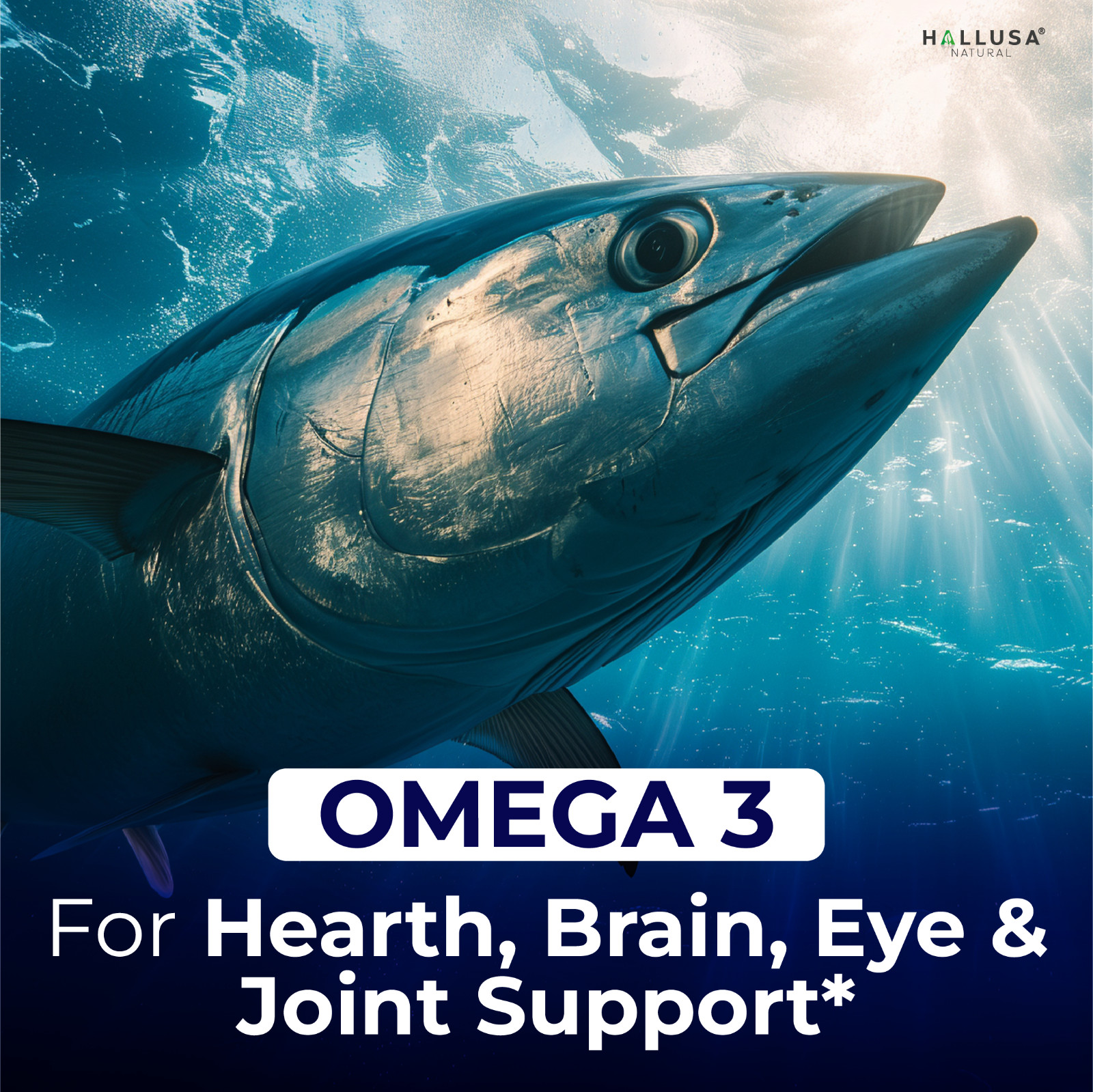 OMEGA 3 – Fish Oil Supplement – Cardiovascular Wellness – 60 Softgels
