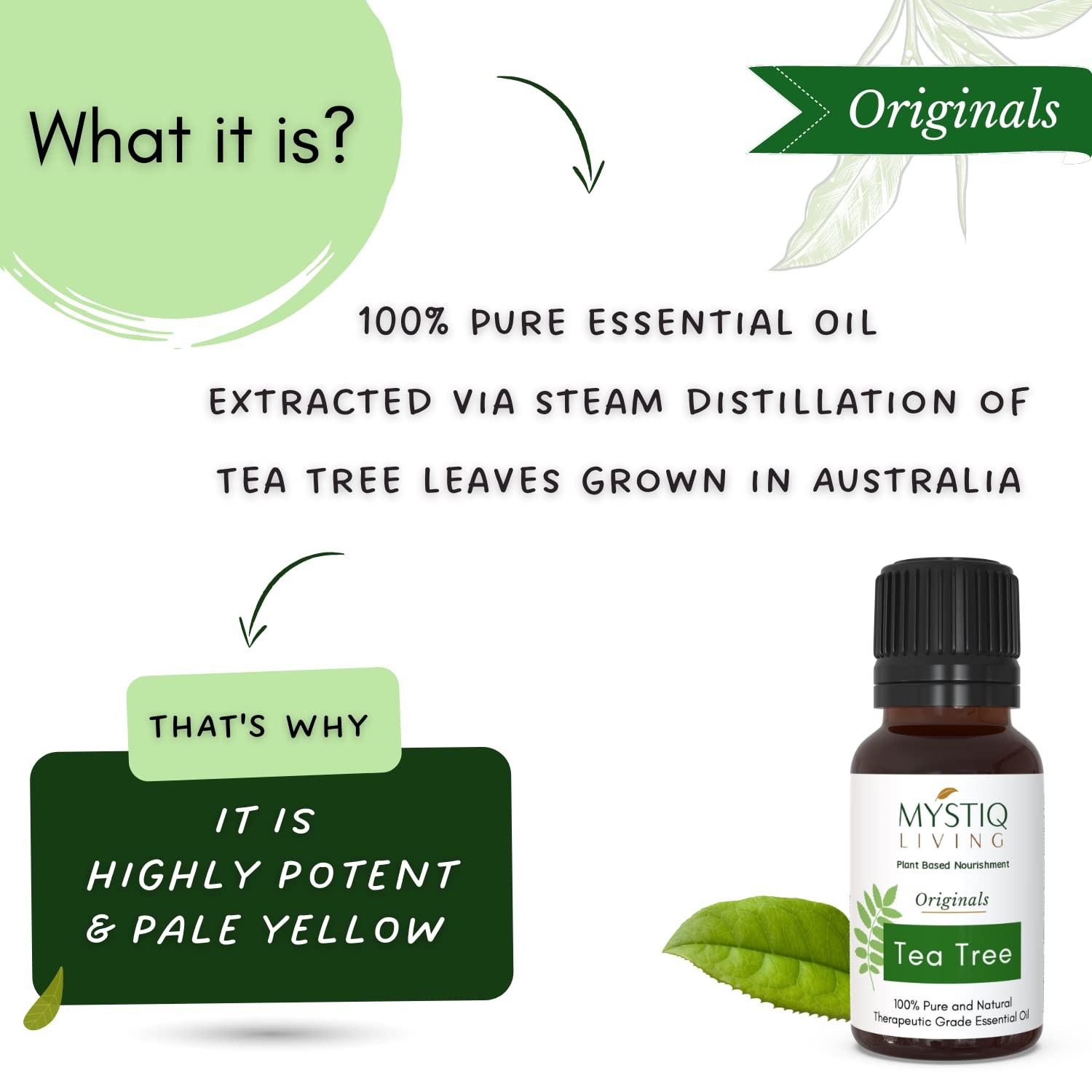 Mystiq Living Tea Tree Essential Oil 15ml