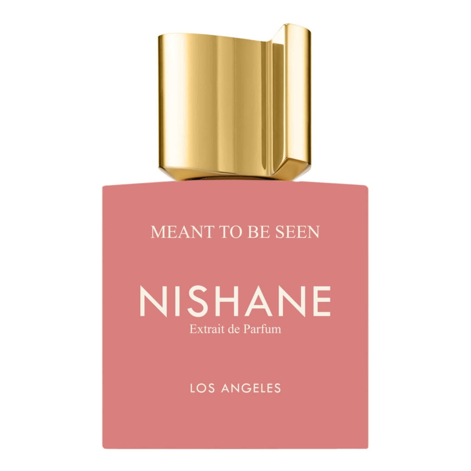 Nishane Unisex Meant To Be Seen Extrait de Parfum Spray 3.4 oz Fragrances