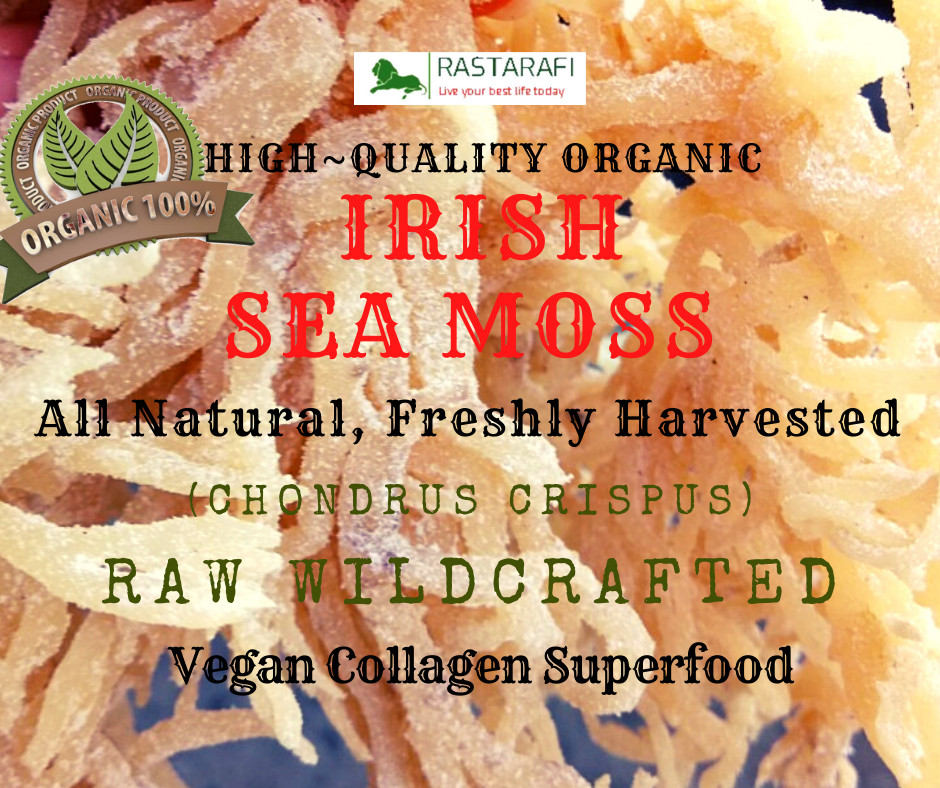 Rastarafi® Sea Moss Gel (Unflavored) Irish Moss | Raw Wildcrafted Superfood Gel