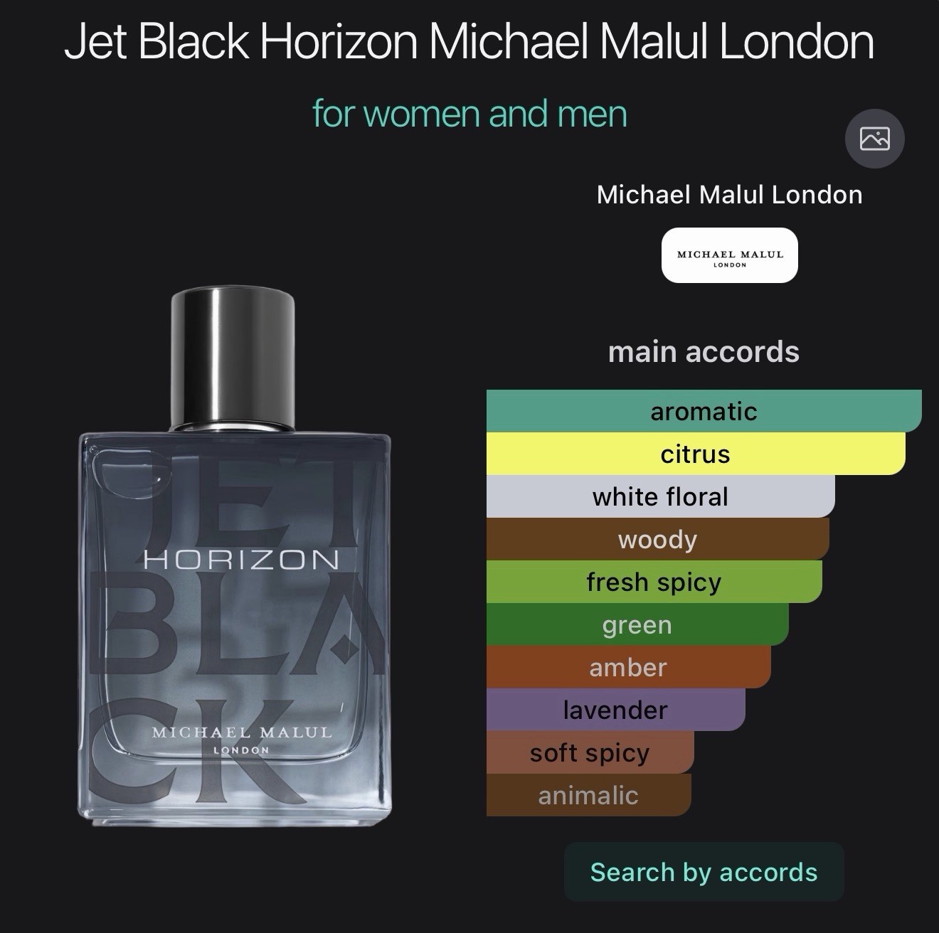 Michael Malul London Jet Black Horizon Eau de Parfum Spray Bergamot 3.4 fl oz