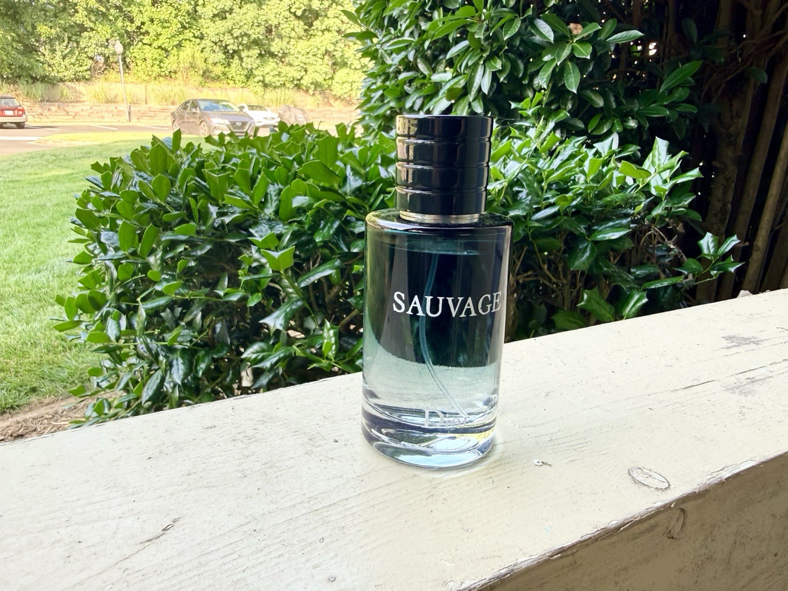 Dior Sauvage Eau de Toilette Spray Regular Size 3.4 fl oz Men’s Fragrance