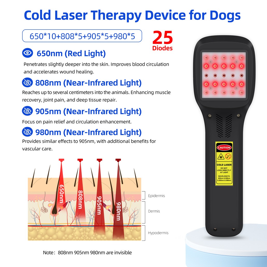 LLLT Laser Therapy for Human Pets Red Light Physiotherapy for Joints Pain 2500mW