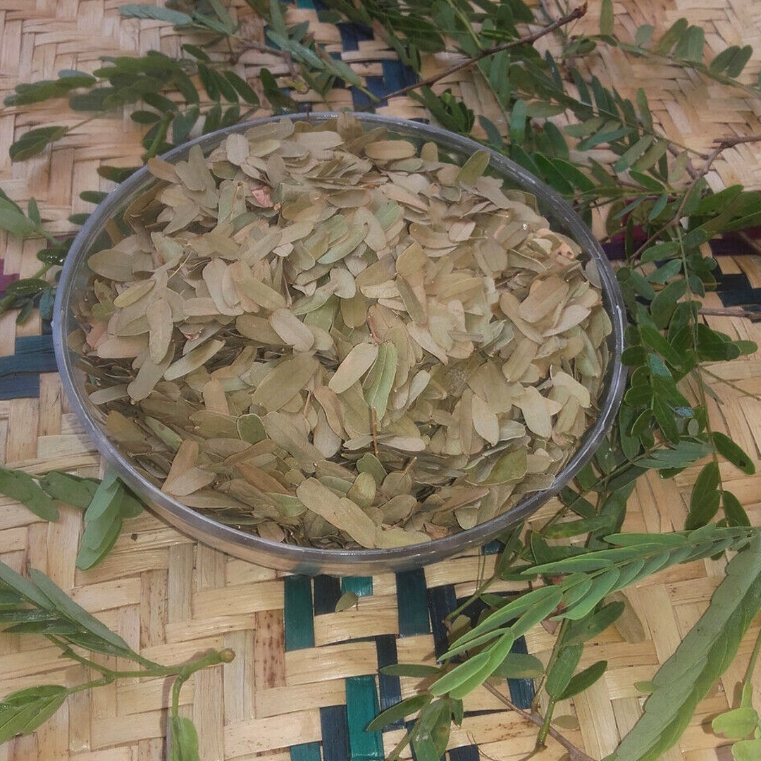 Organic Tamarind Leaf Powder 100% Pure Ceylon Herbal Tea Wellness Tamarindus Oz