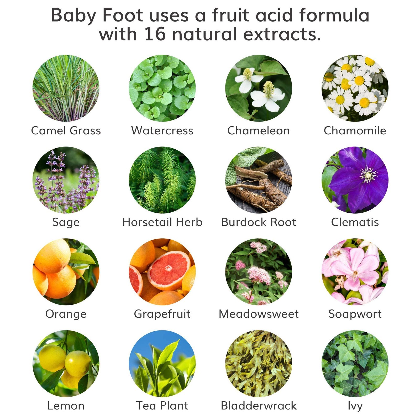 Baby Foot Original Exfoliation Peel – For 2.4 Fl Oz (Pack of 1), Purple