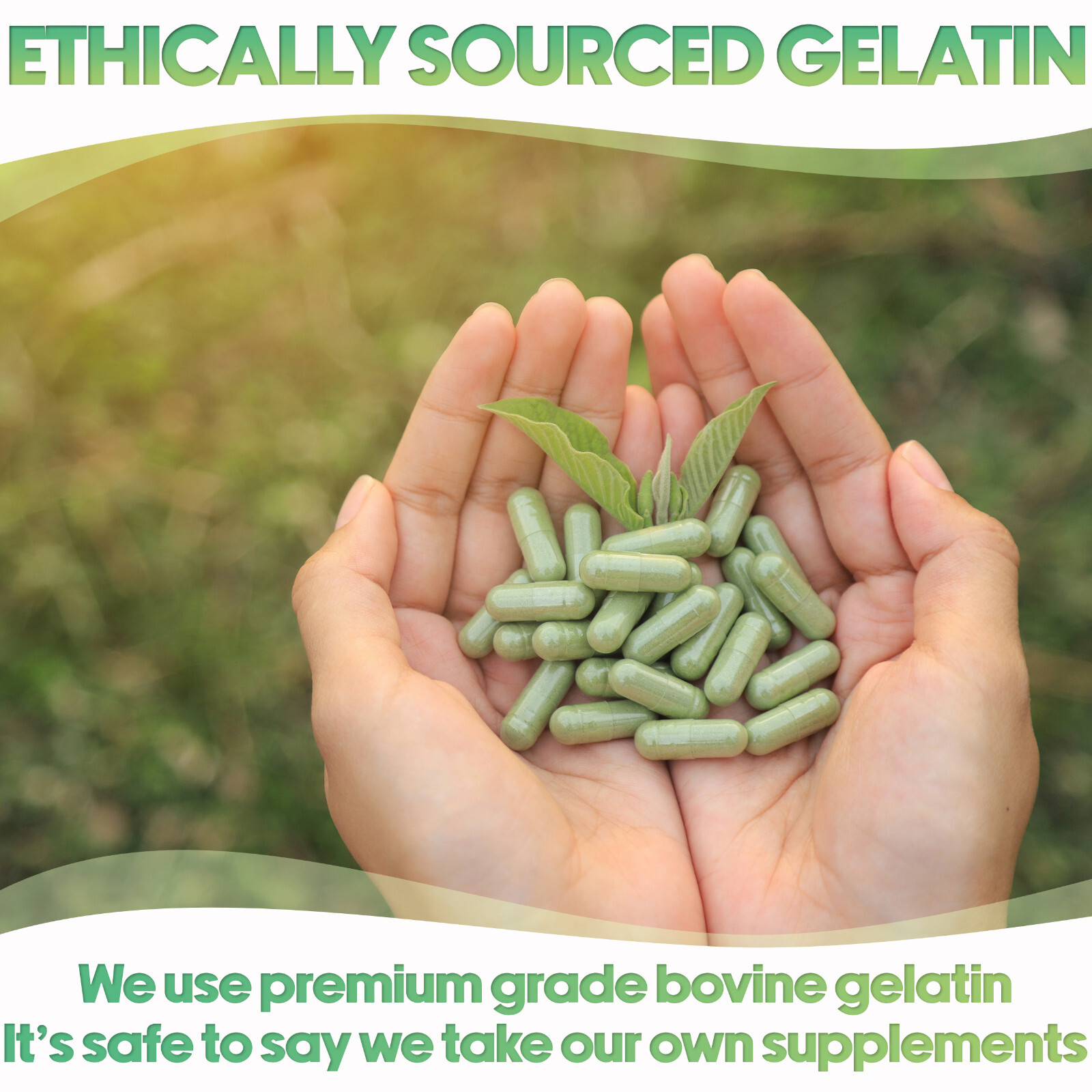 Size 5 Clear Empty Gelatin Pill Capsules Kosher Gel Caps Gluten-Free USA Made