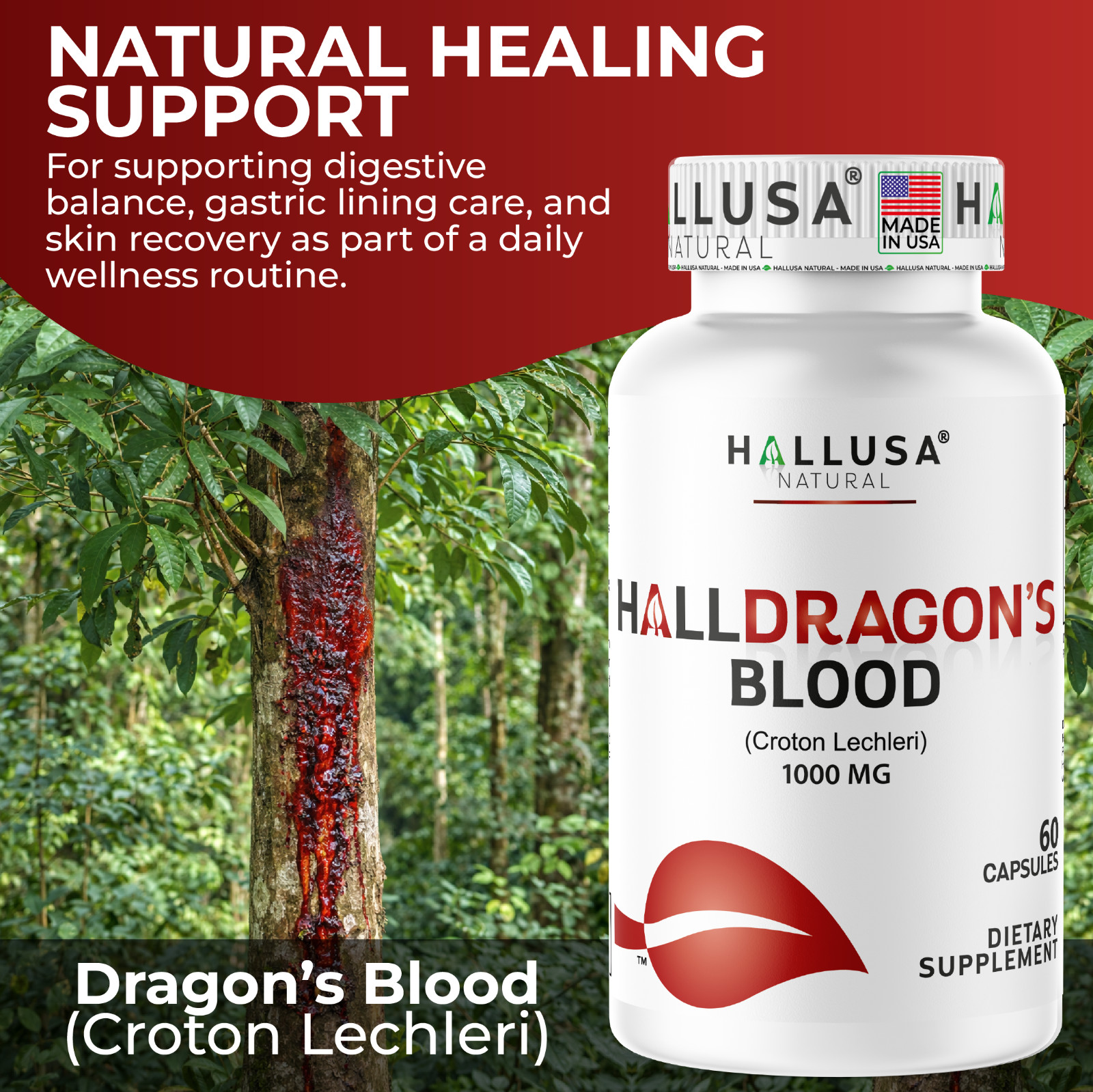 Hallusa Natural Dragon’s Blood capsules 1000mg – Croton Lechleri – 60 Count