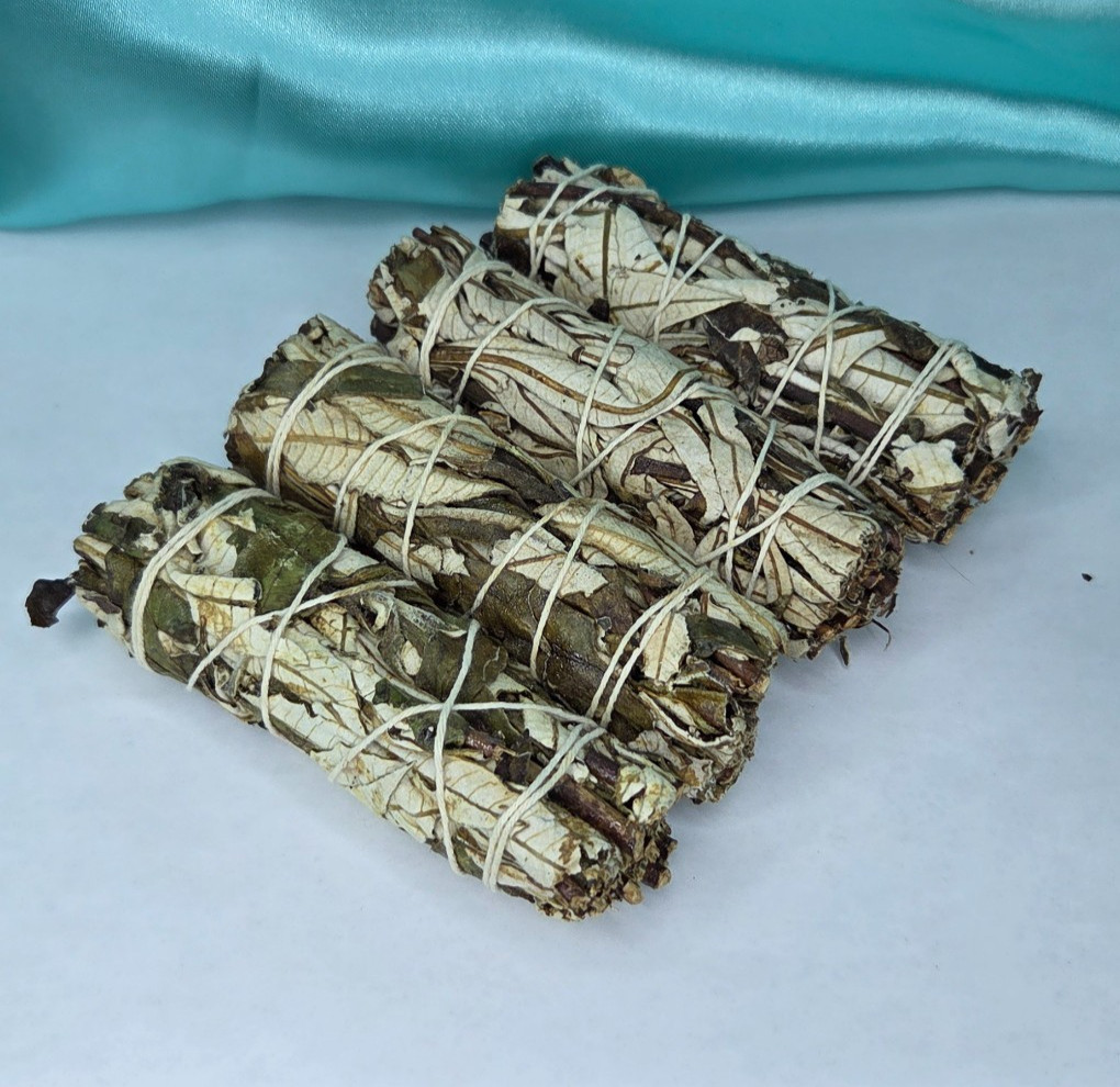 Yerba Santa Smudge Sticks (4 inches) ~ Eriodictyon Californicum ~ United States