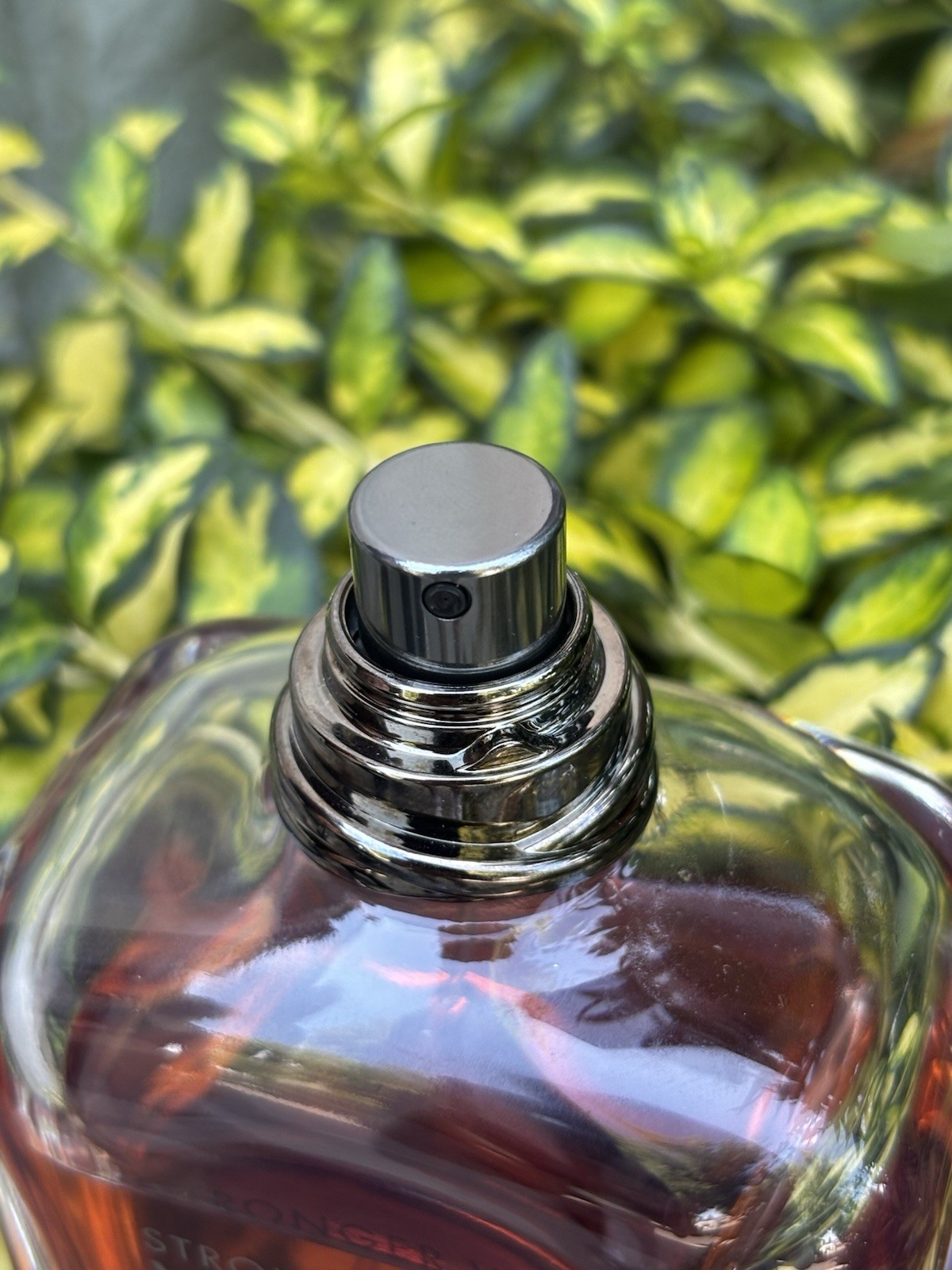 Stronger With You Intensely by Giorgio Armani 3.4oz Eau de Toilette for Men