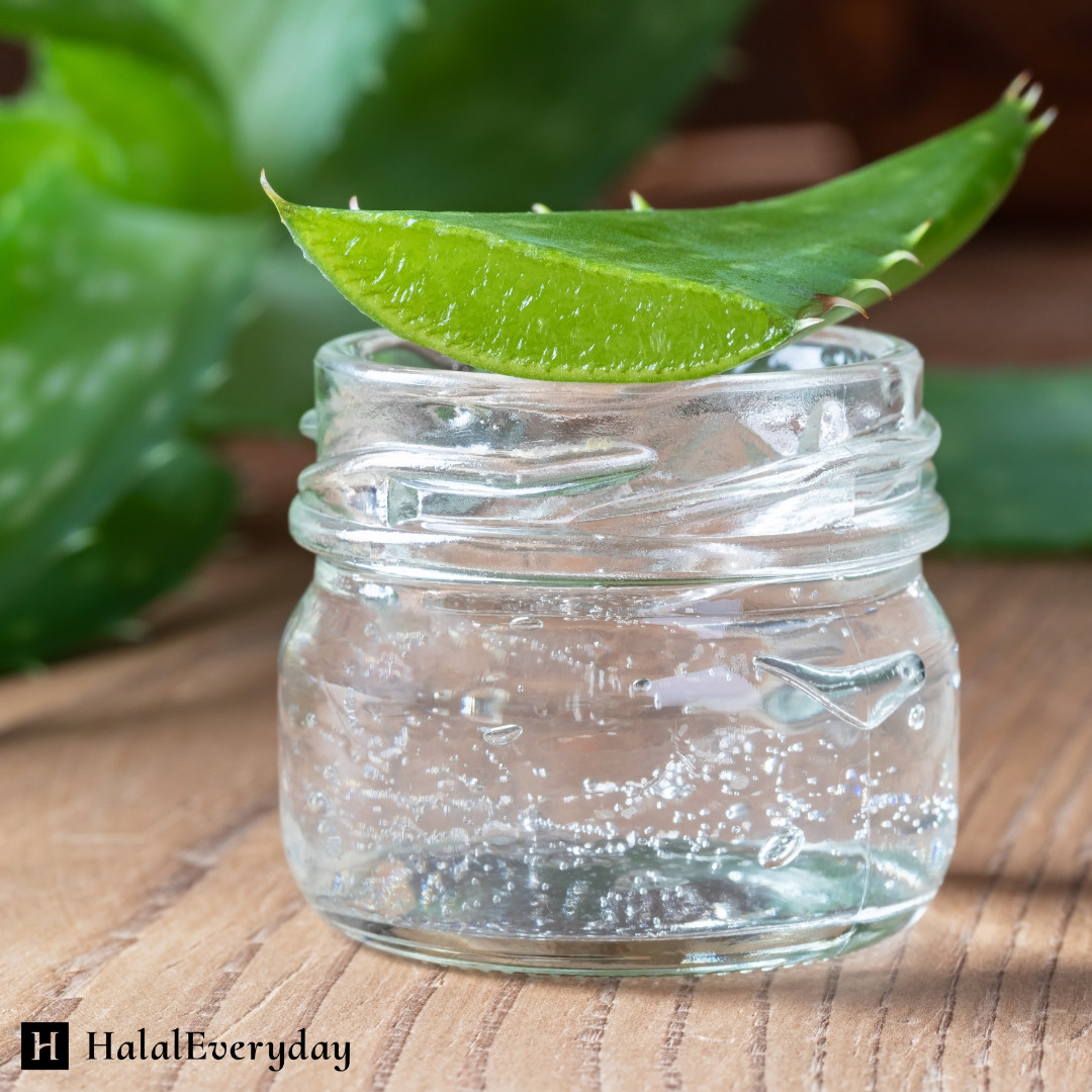 Aloe Vera Gel – 100% Pure Organic Soothing Moisturizing Skin Care Lotion BULK