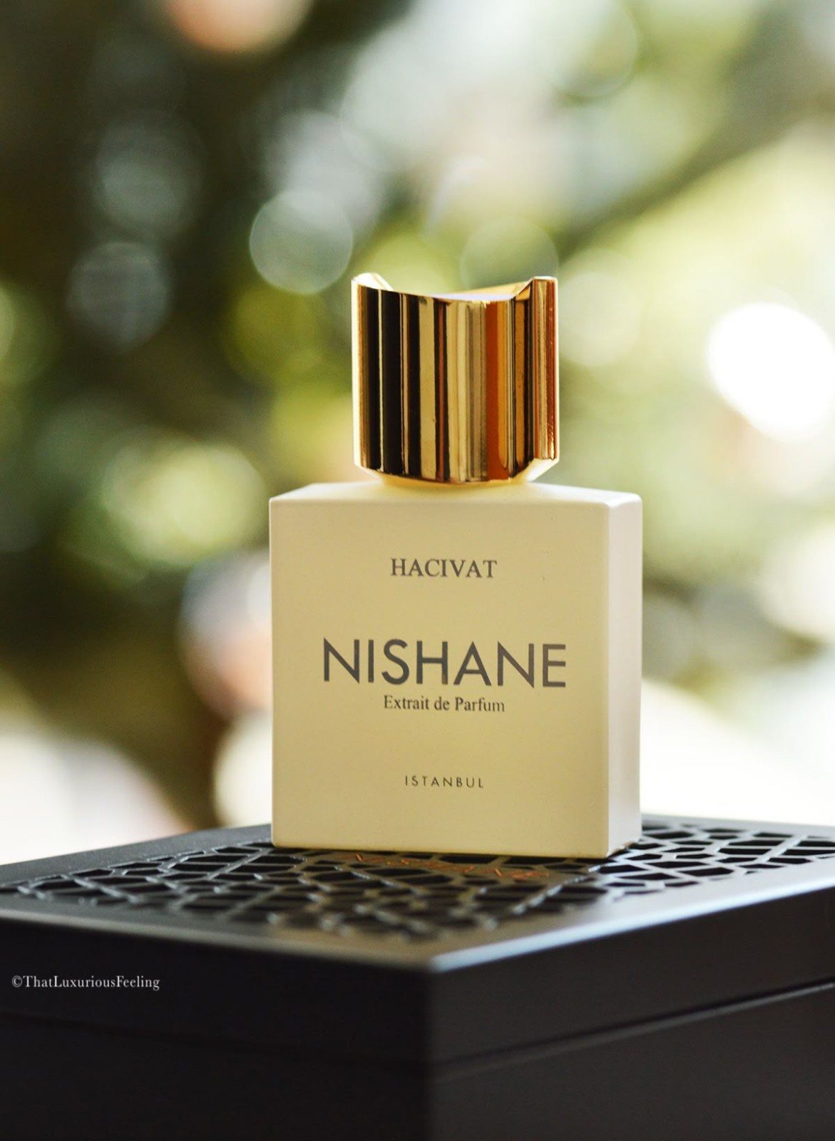 Nishane Hacivat by Nishane, 3.4 oz Extrait De Parfum Spray for Unisex