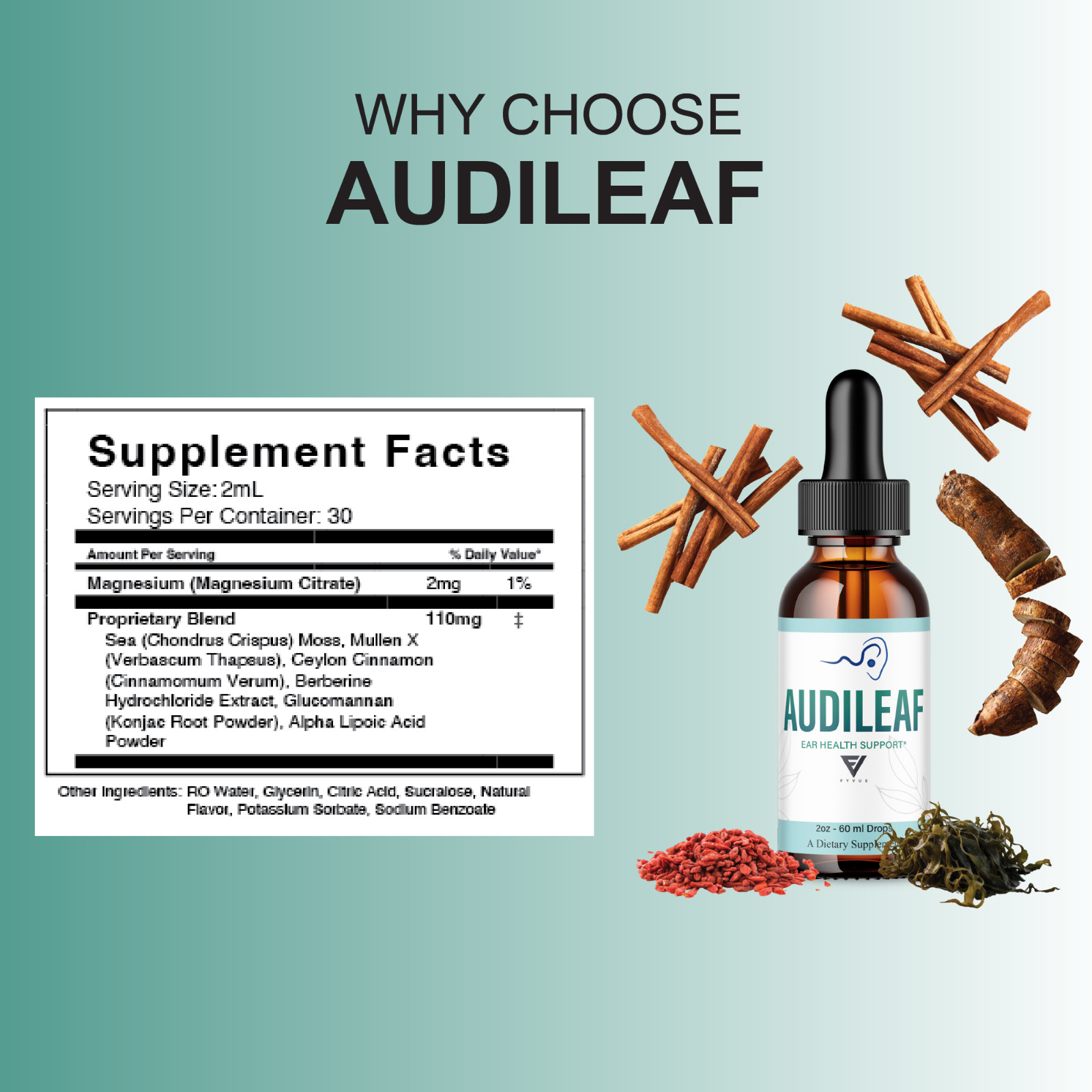 (3 Pack) Audileaf Drops, Audileaf Tinnitus Support Liquid Supplement (6oz)